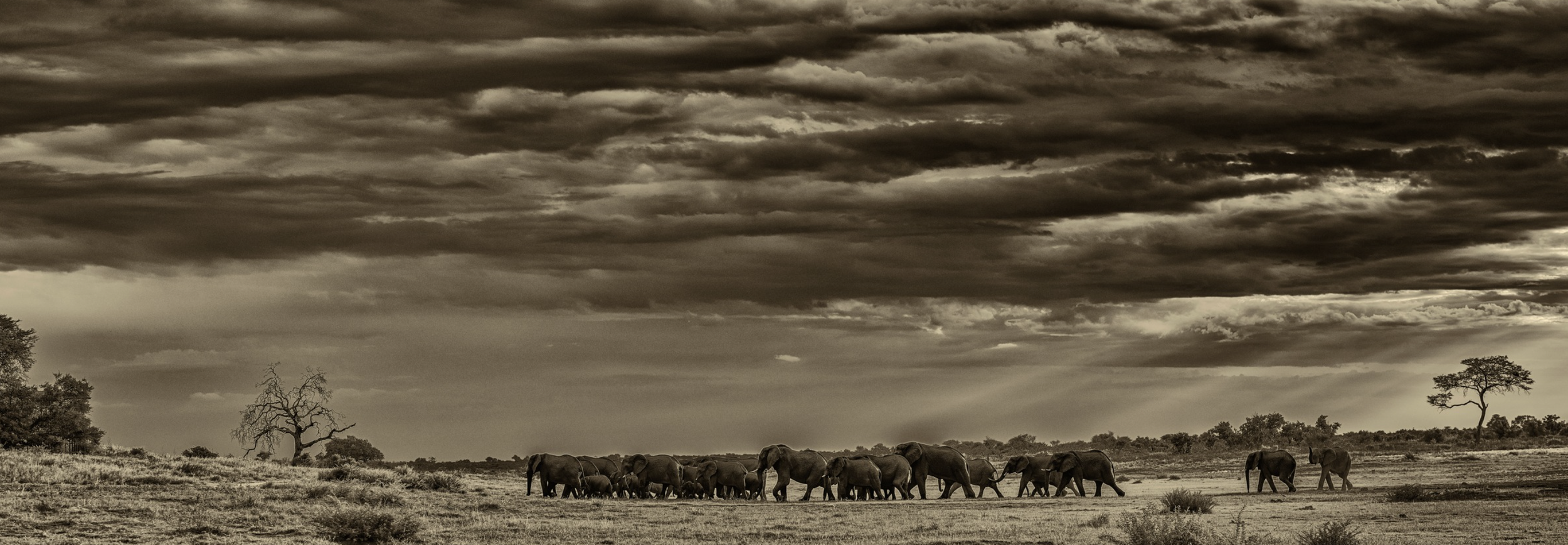 Screenshot 2026-03-31 at 10.25.40 AM.png