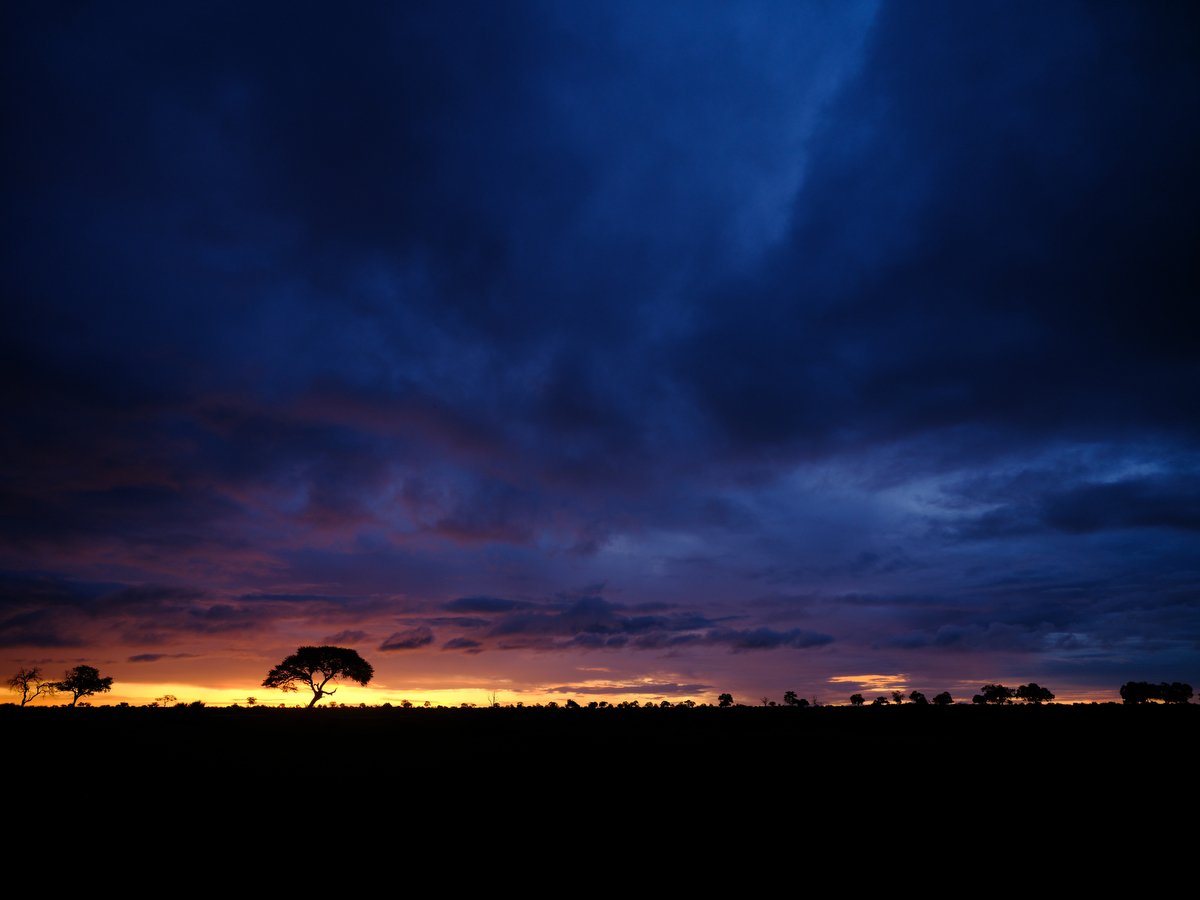 DSCF9376.JPG