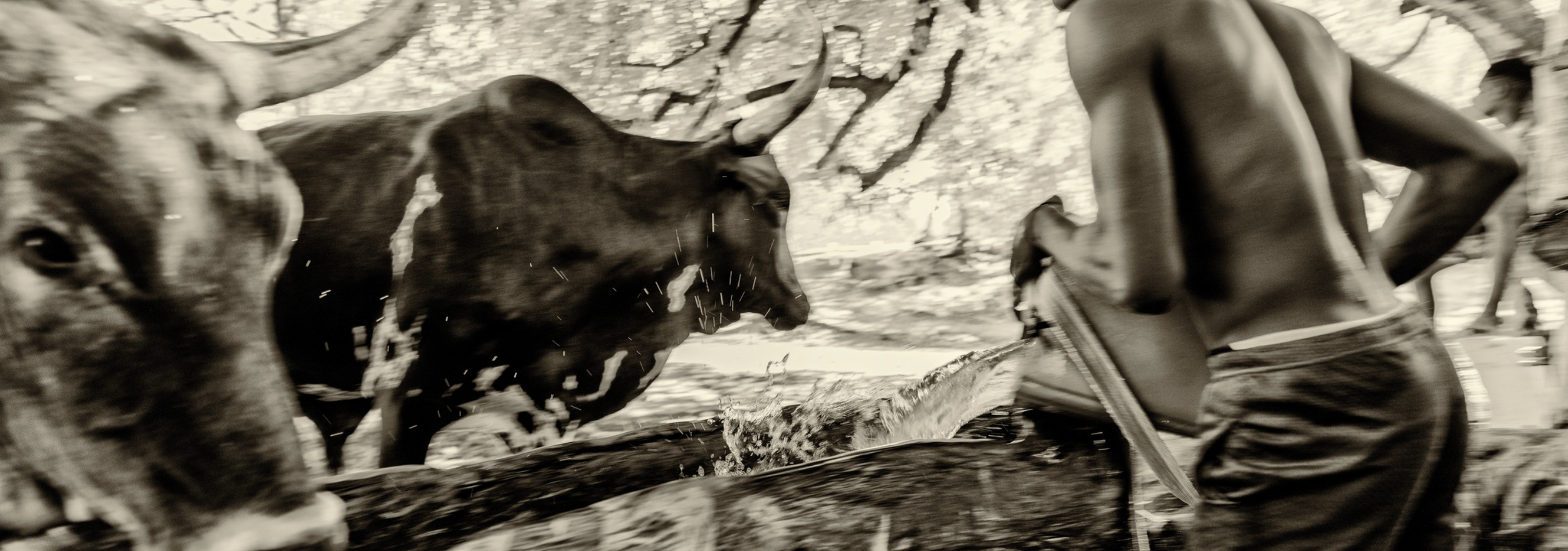 Screenshot 2026-03-31 at 10.26.05 AM.png