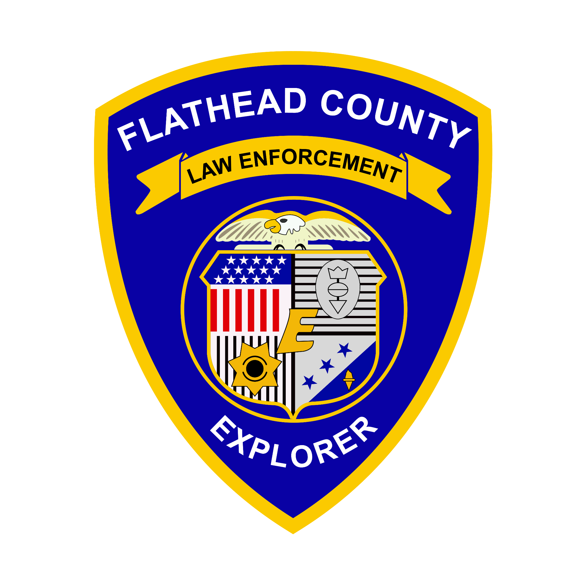 Badge with a shield shape displaying 'FLAHEAD COUNTY' and 'LAW ENFORCEMENT' with a bald eagle and American flag elements.