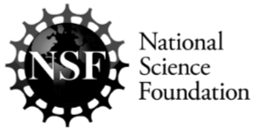 NSF logo with a globe and gear design