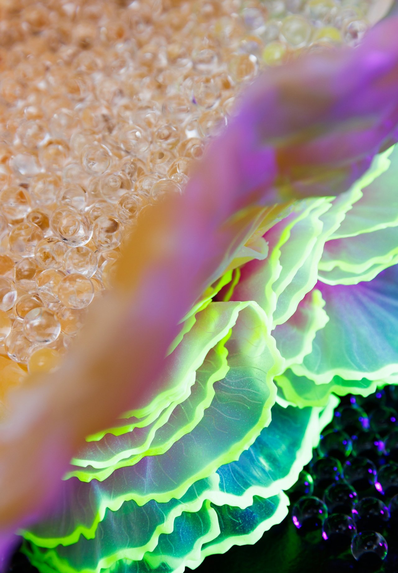 Close-up image of a lettuce head with bright neon green edges around the leaves, surrounded by bubbles and what appears to be a lavender flower in the foreground.