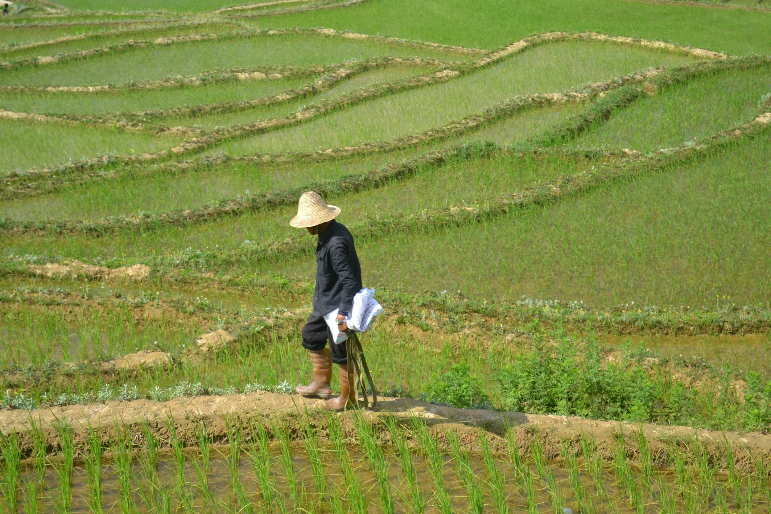 The story of the Chinese farmer