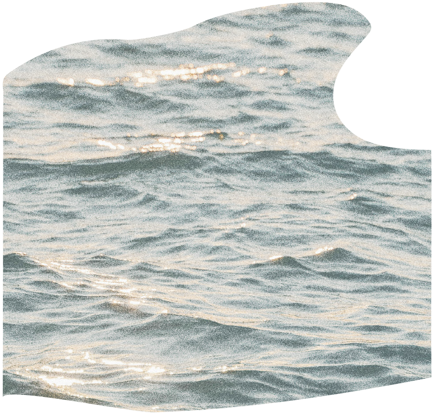 Close-up view of a calm ocean with gentle waves reflecting sunlight.