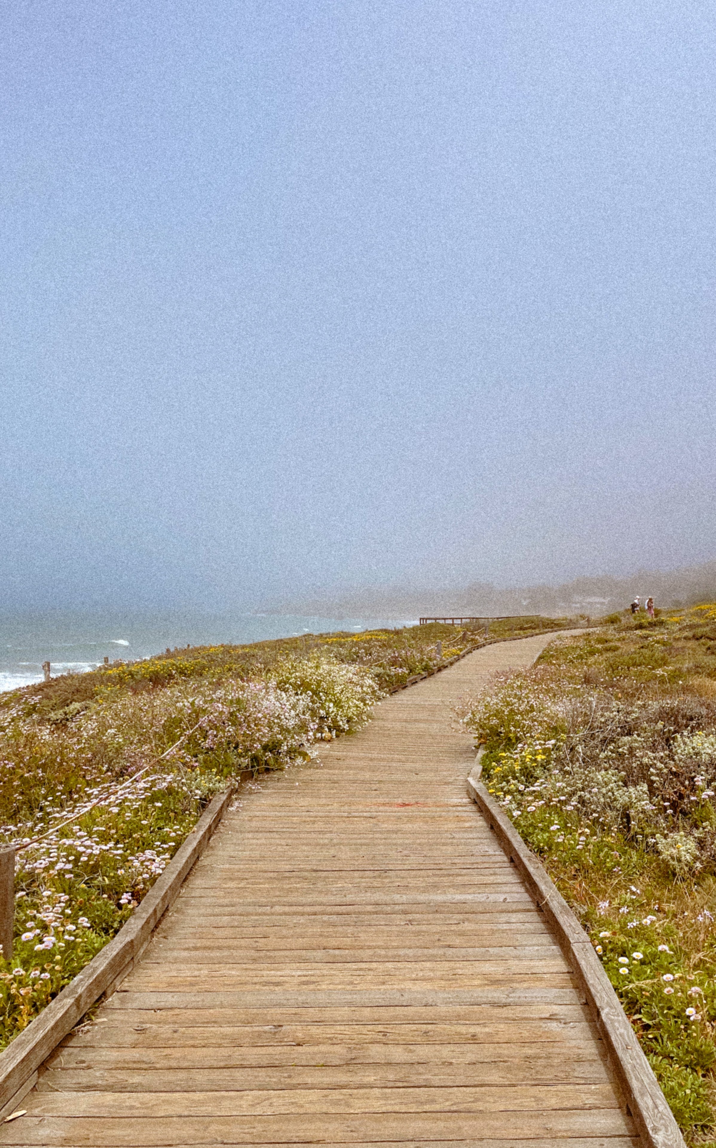 A wooden pathway through coastal vegetation with flowers, leading towards the beach and cliffs in the distance, under a hazy sky.