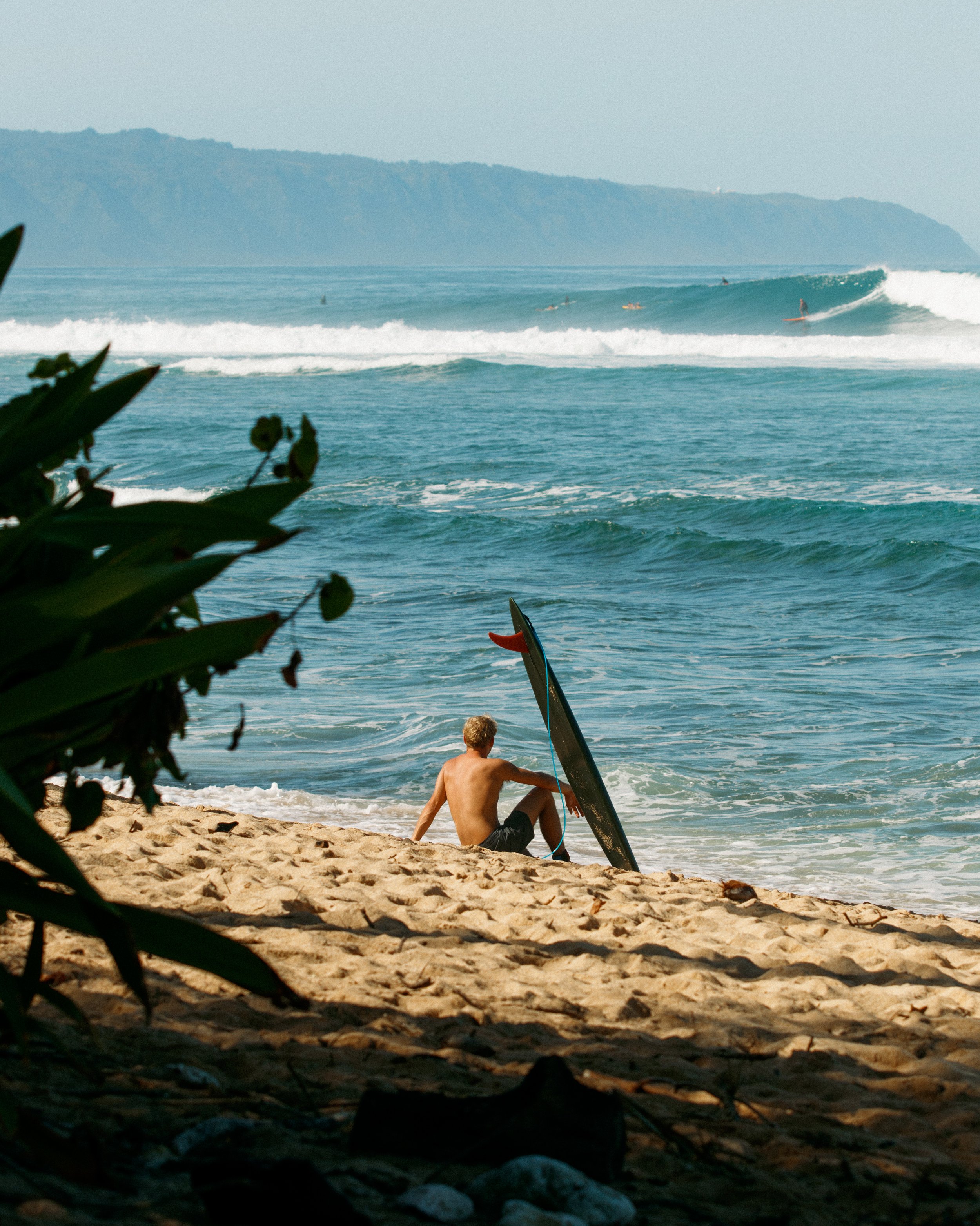 A man sitting on a sandy beach next to a surfboard, with the ocean and distant hills in the background. Vegetation is partially visible in the foreground.