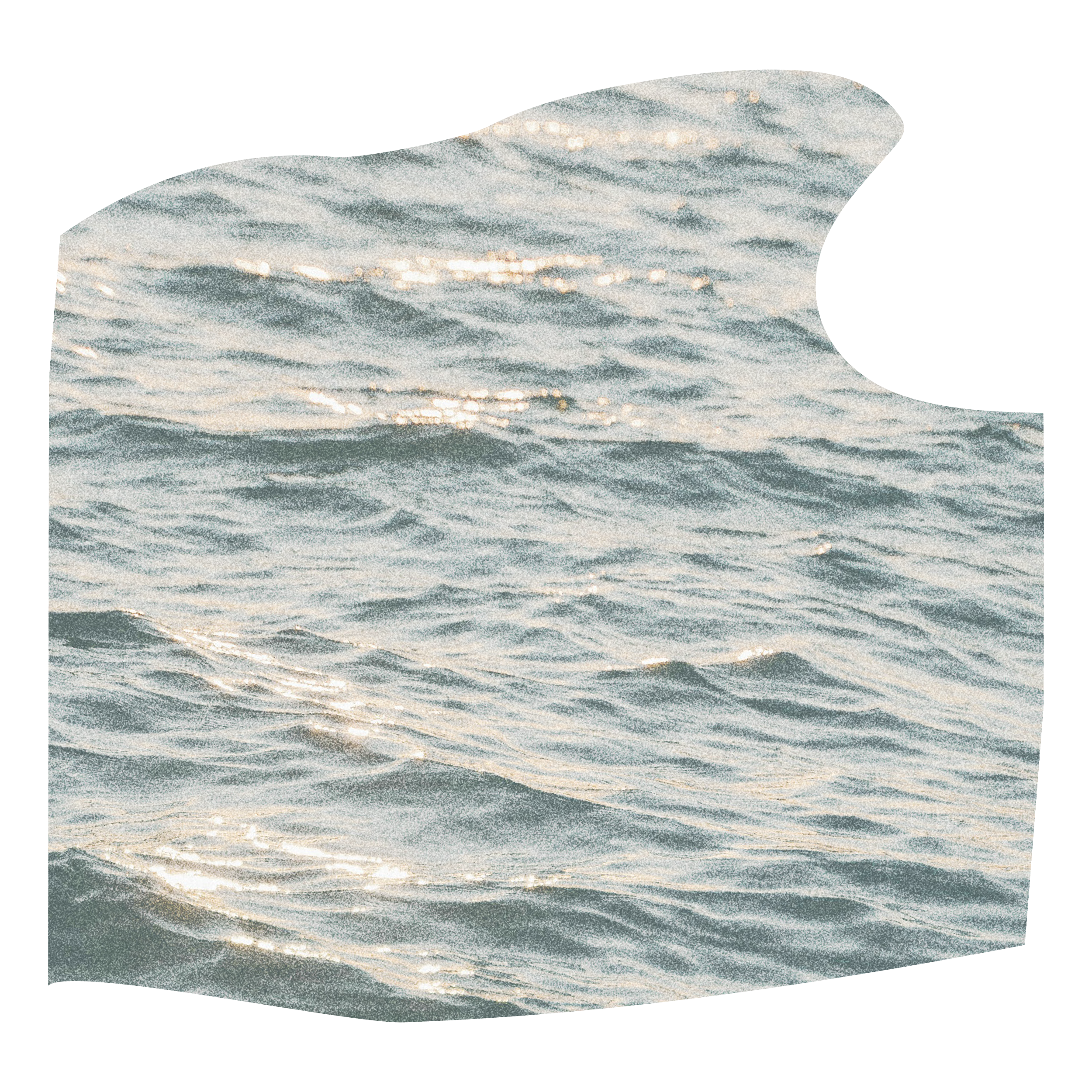 Photograph of ocean water with sunlight reflecting off the surface.