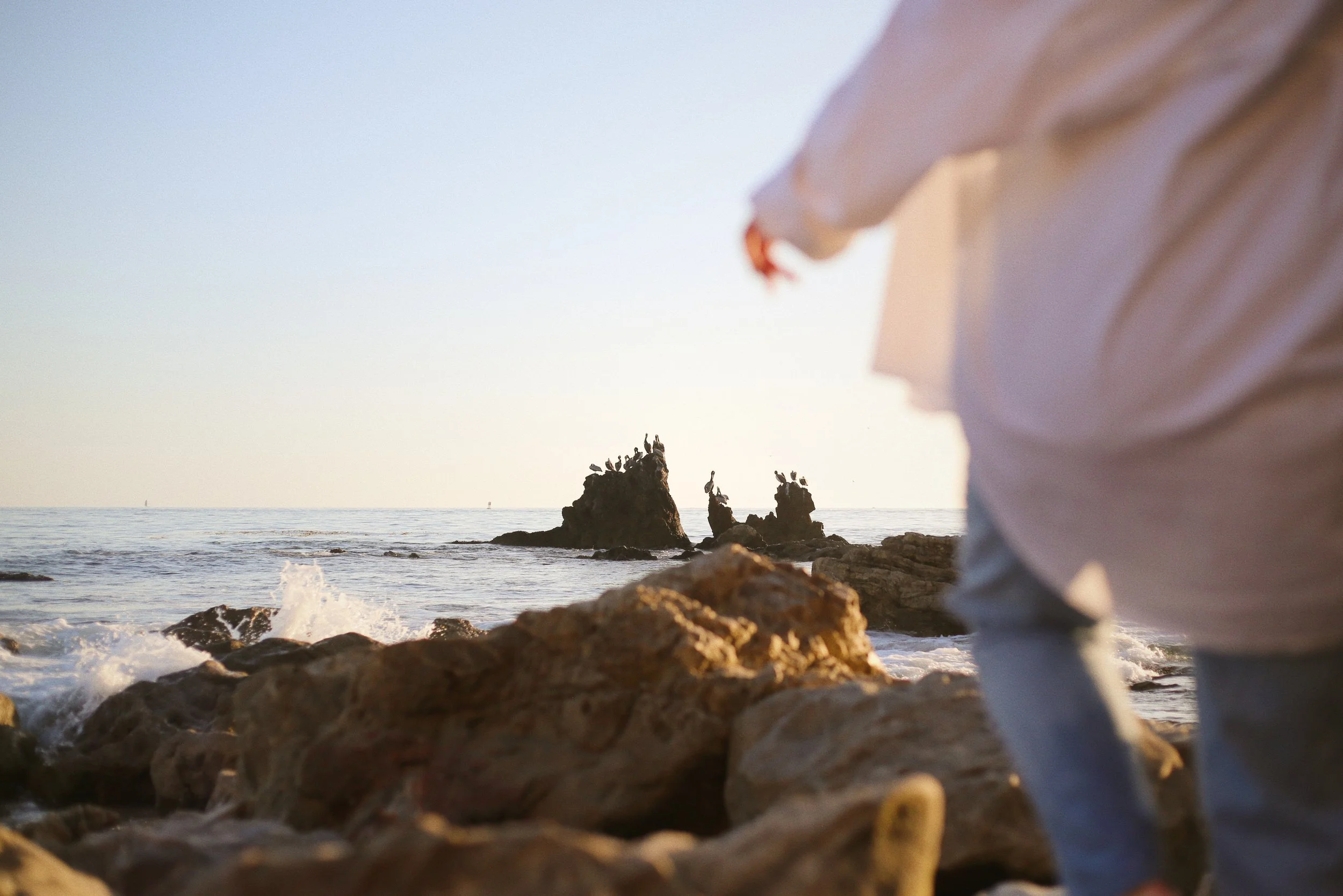 A person standing at the rocky beach looking at the ocean and rocks with birds perched on them
