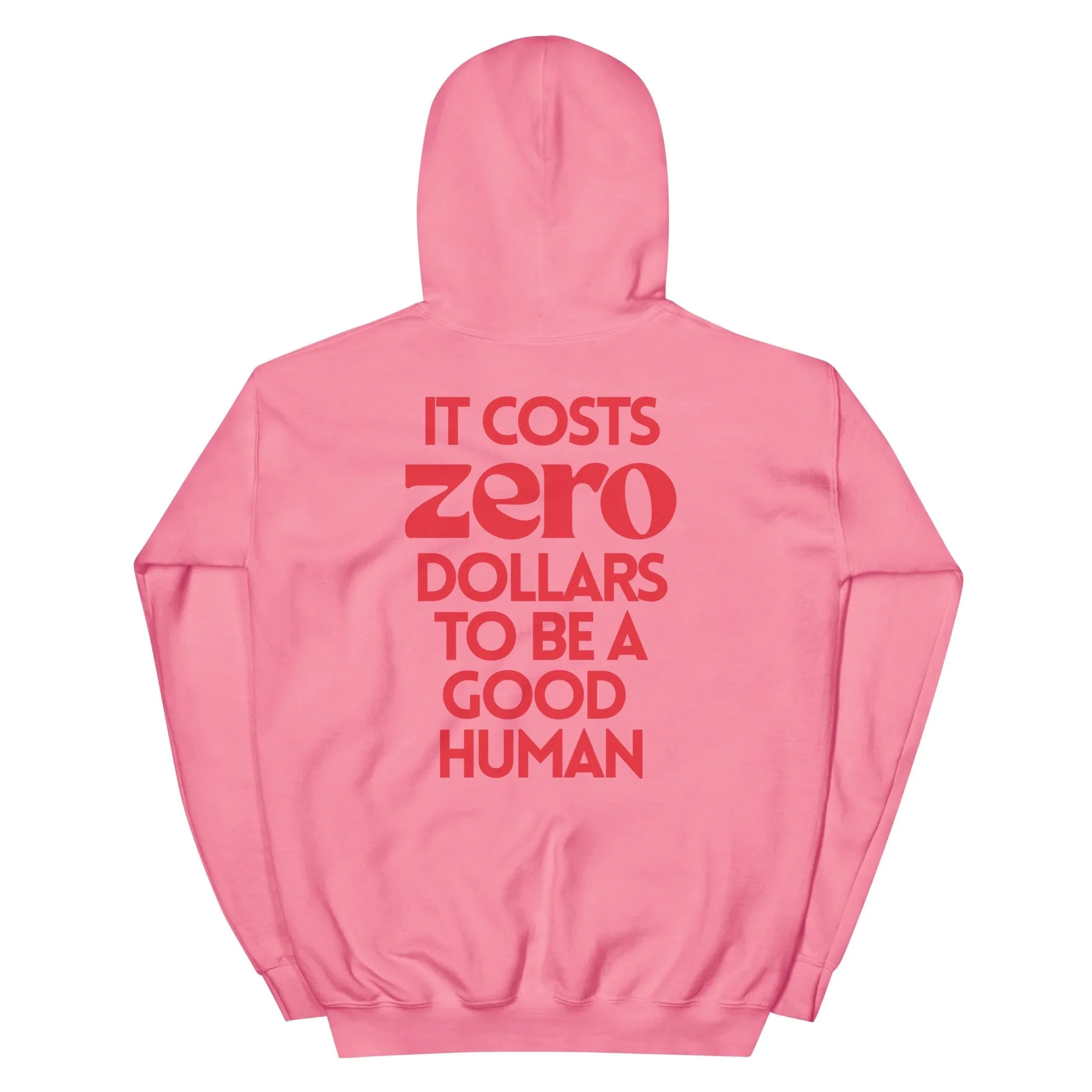 unisex-heavy-blend-hoodie-azalea-back-694f487b06f9e.jpeg