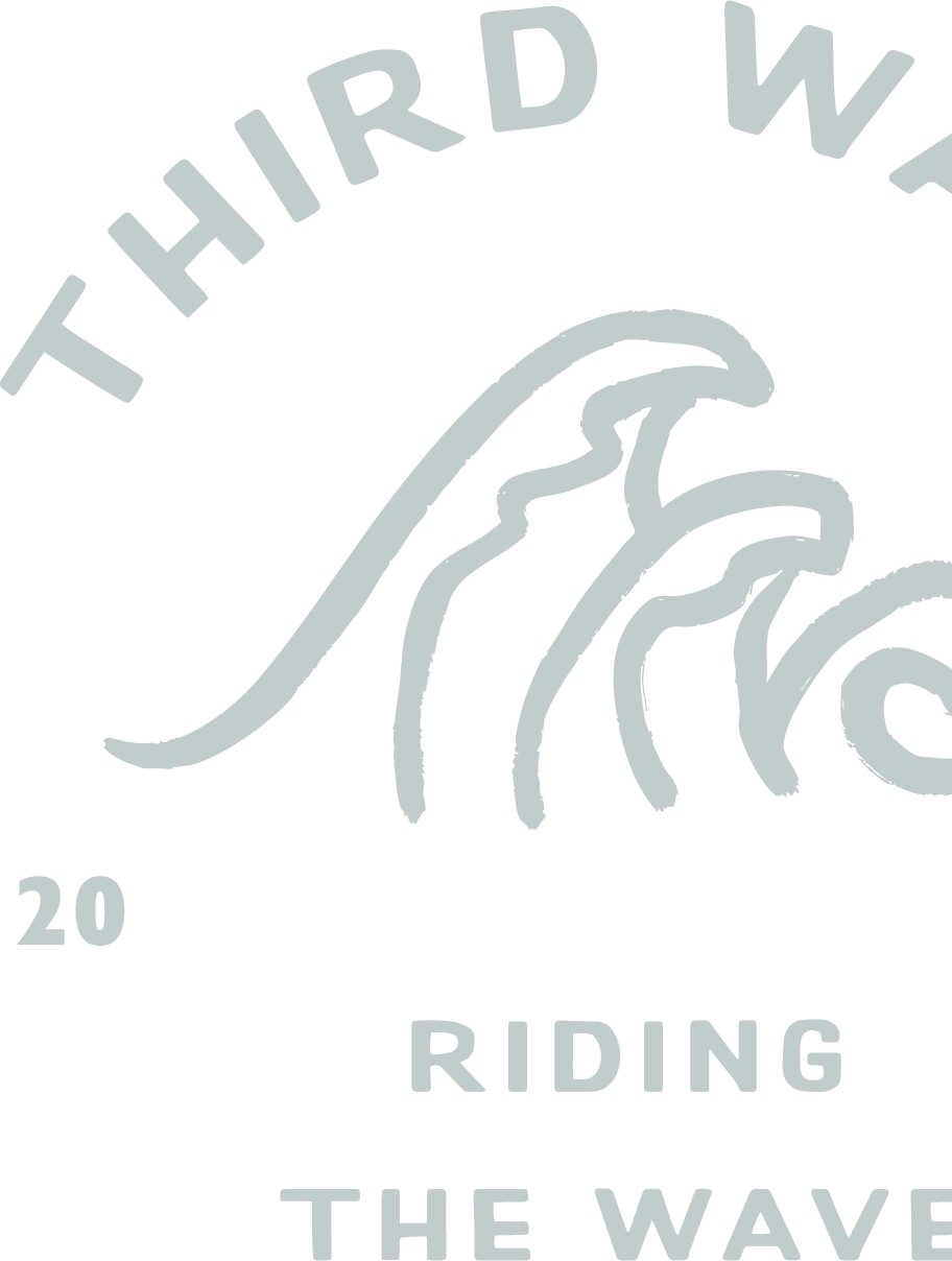 Logo with stylized wave and text that reads 'Third Wave Riding the Wave 2020' in gray on black background.