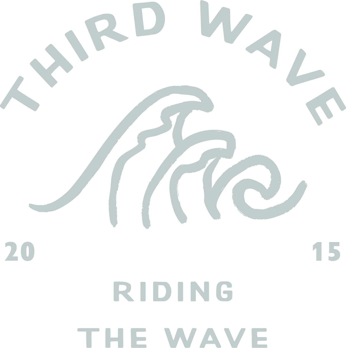 A stylized logo with a wave illustration and text reading 'Third Wave Riding the Wave 2015'.