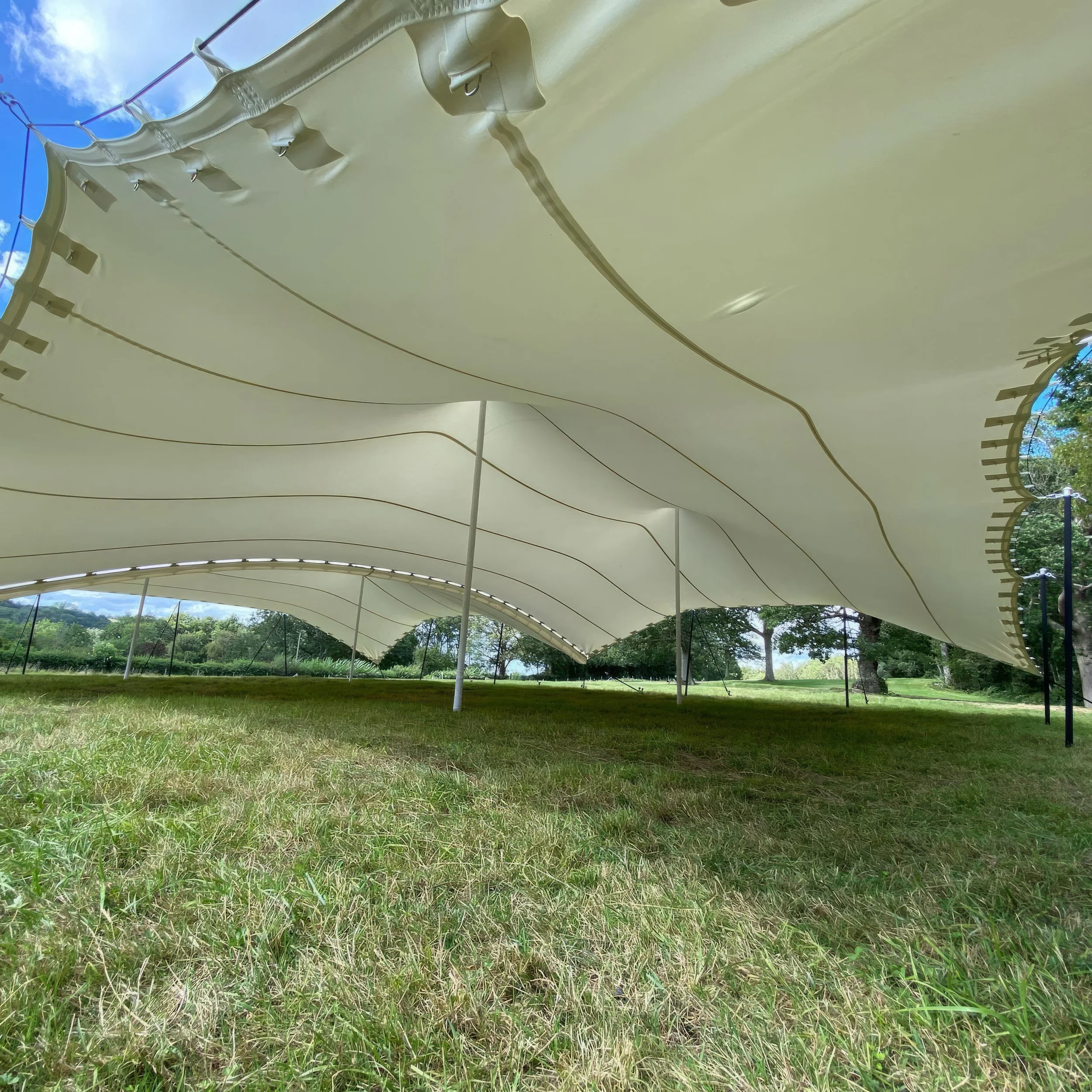Large white fabric tent stretched over metal poles on a grassy field with trees in the background.