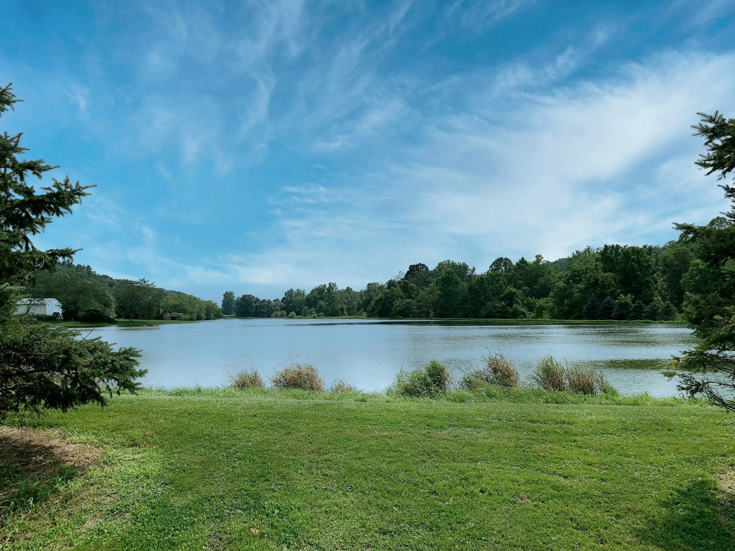 A peaceful lake scene with lush green grass in the foreground, trees on both sides, and a partly cloudy blue sky reflected on the water.