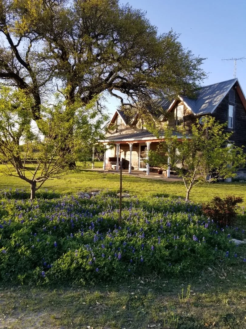 A charming, rustic house with a front porch, surrounded by trees and a garden of purple flowers, under a clear blue sky.