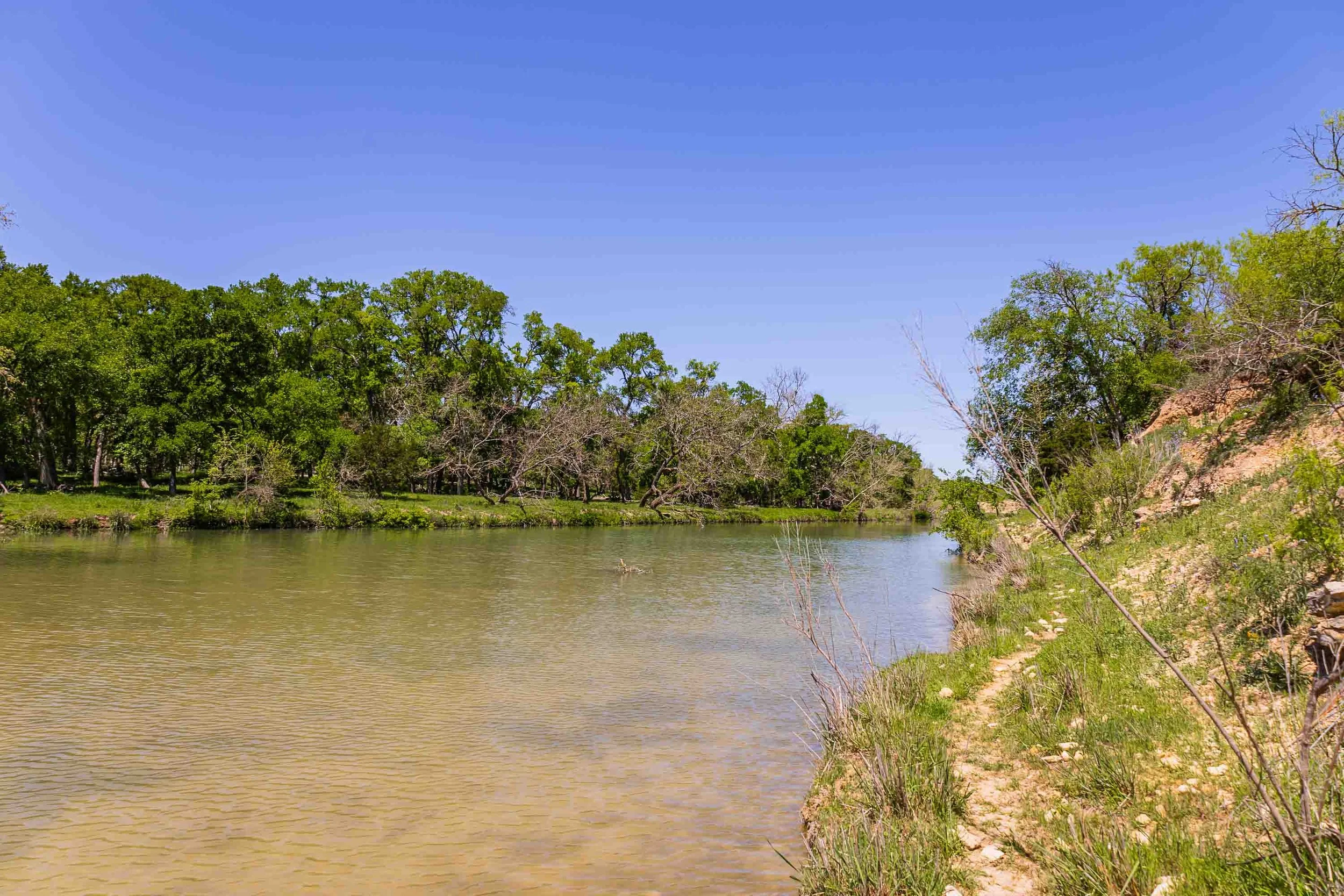 A river flowing through a lush landscape with trees on both sides and a rocky shoreline on the right under a clear blue sky.