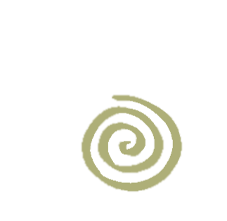 A black background with a light green spiral in the center.