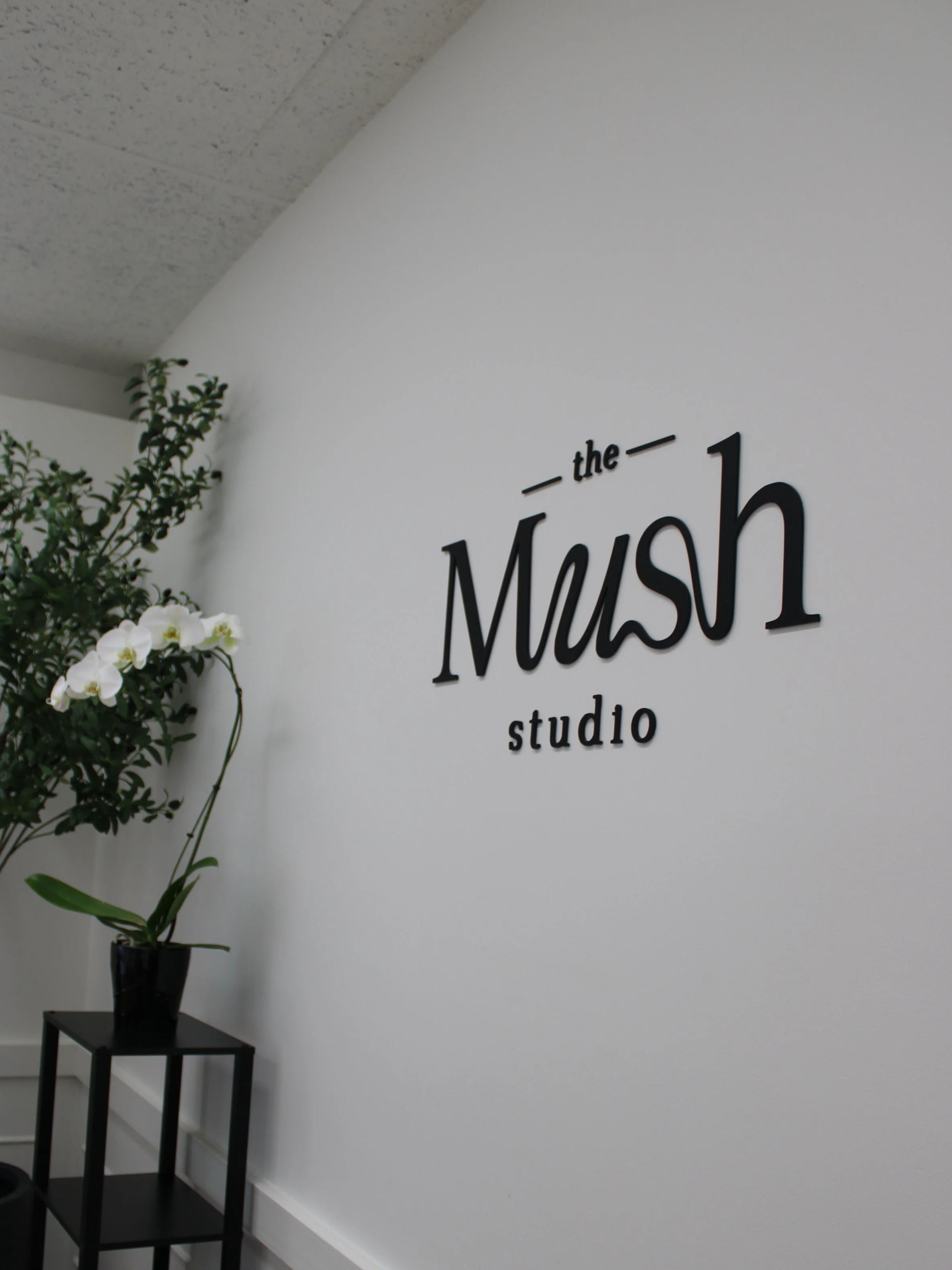 Interior wall with the sign 'the Mosh studio' and a potted plant on a black stand.