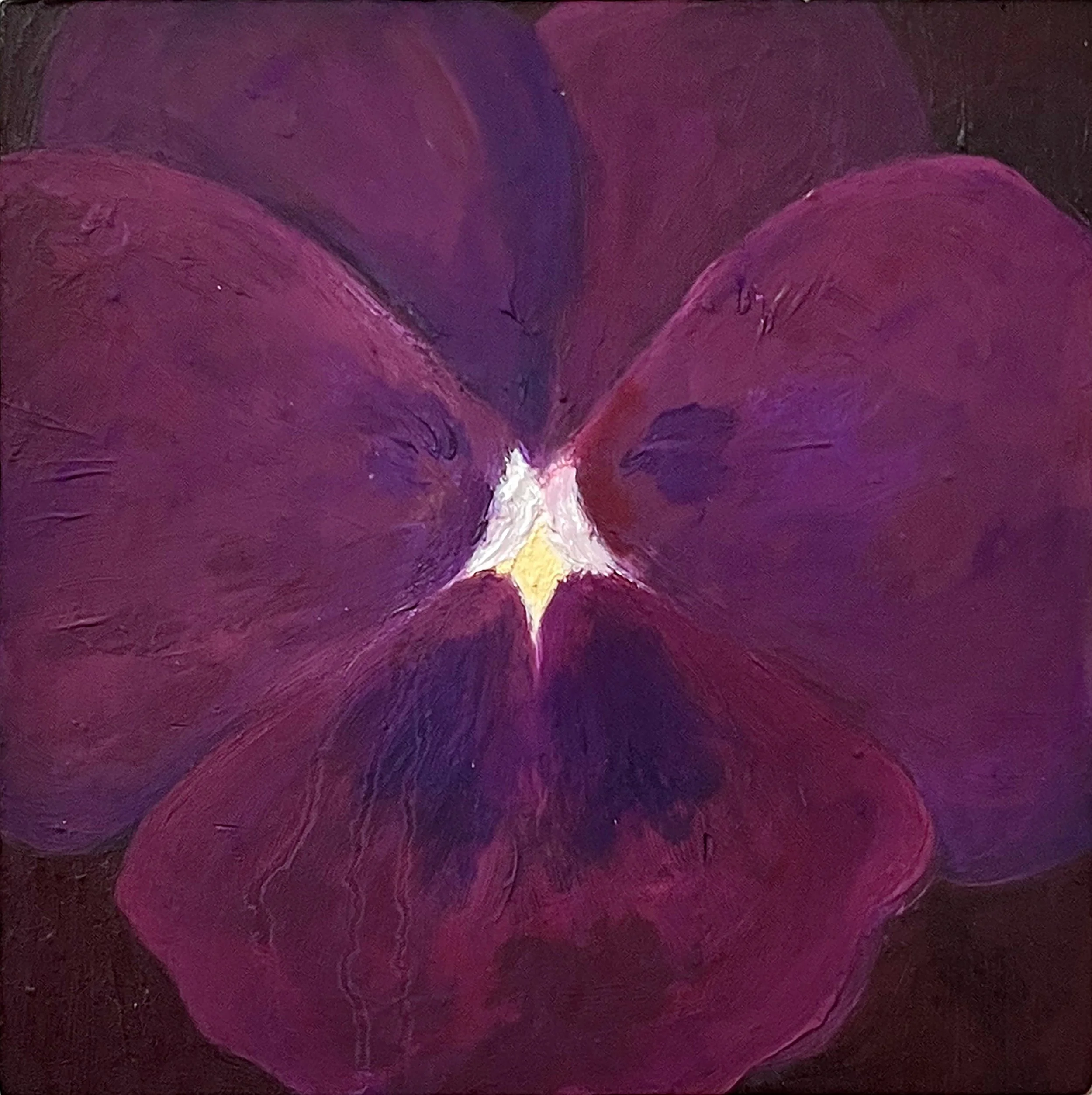 "Pansy (Thoughts)," 2025, oil on panel, 6 x 6 in.