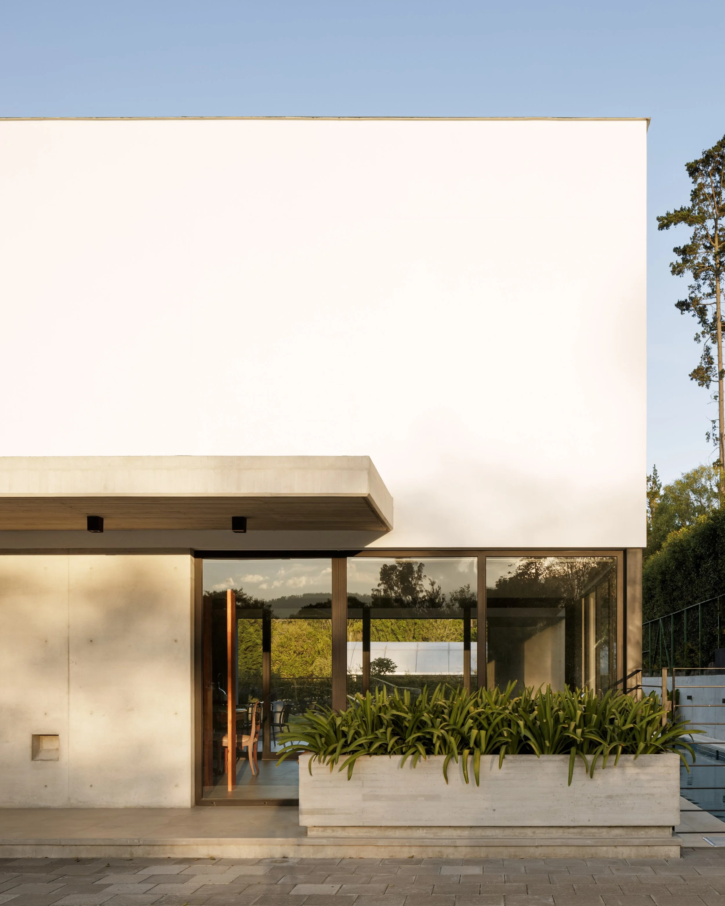 Fachada moderna con pared blanca y ventanas de vidrio, con un gran platón con plantas verdes y una terraza con sillas, en un entorno exterior con árboles y césped.