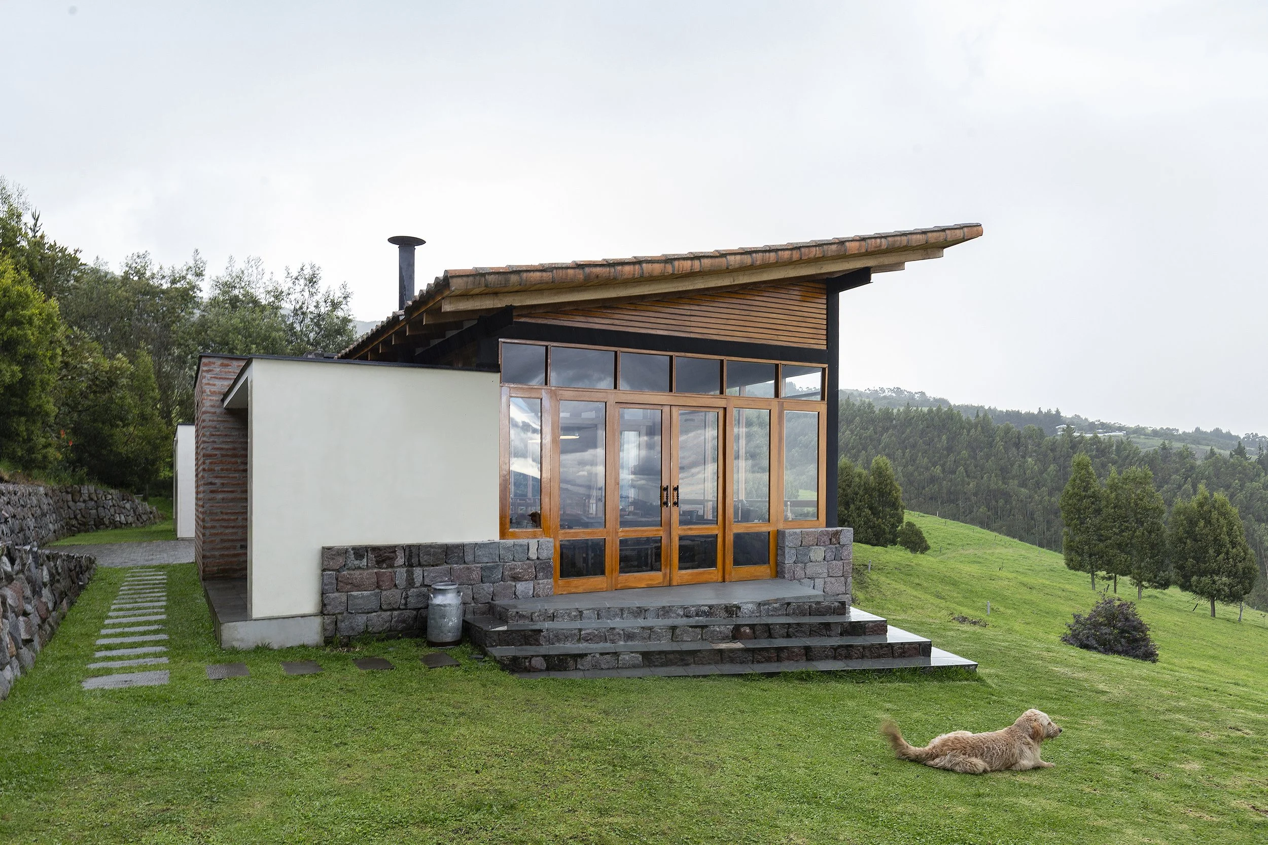 Casa moderna de madera y piedra en zona rural con césped, árbol y perro acostado en el césped.