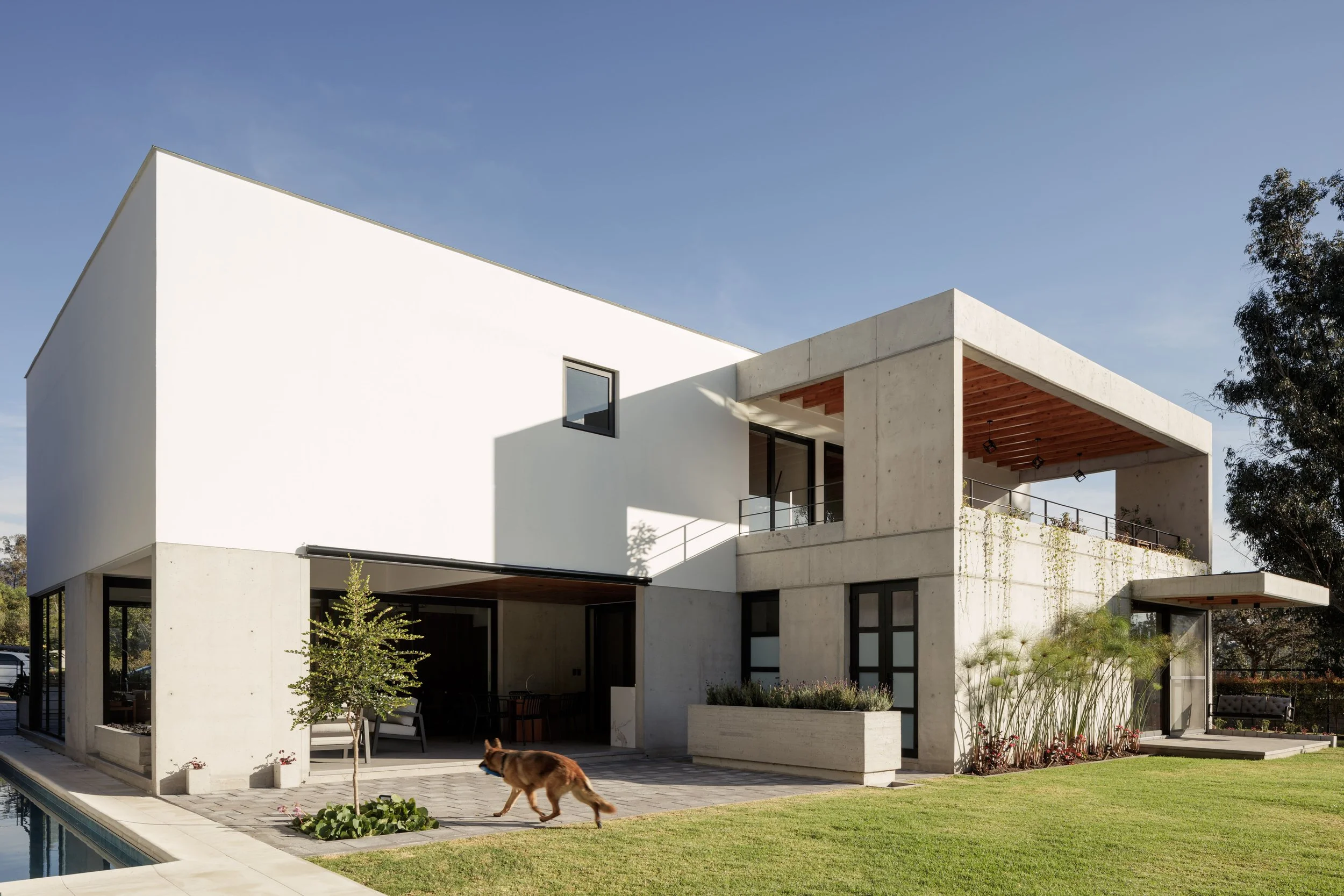 Casa moderna con estructura de concreto y paredes blancas, con un área de piso en la terraza, césped y un perro caminando, un árbol y un cielo despejado.