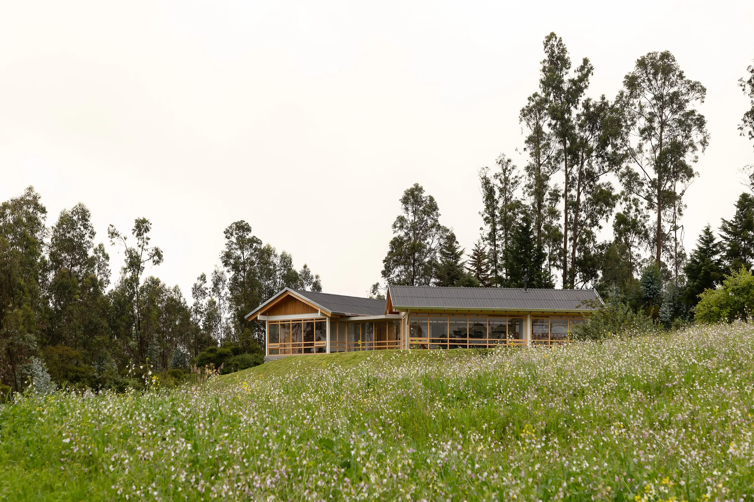 Casa de madera en un campo cubierto de flores con árboles altos en el fondo y cielo nublado.