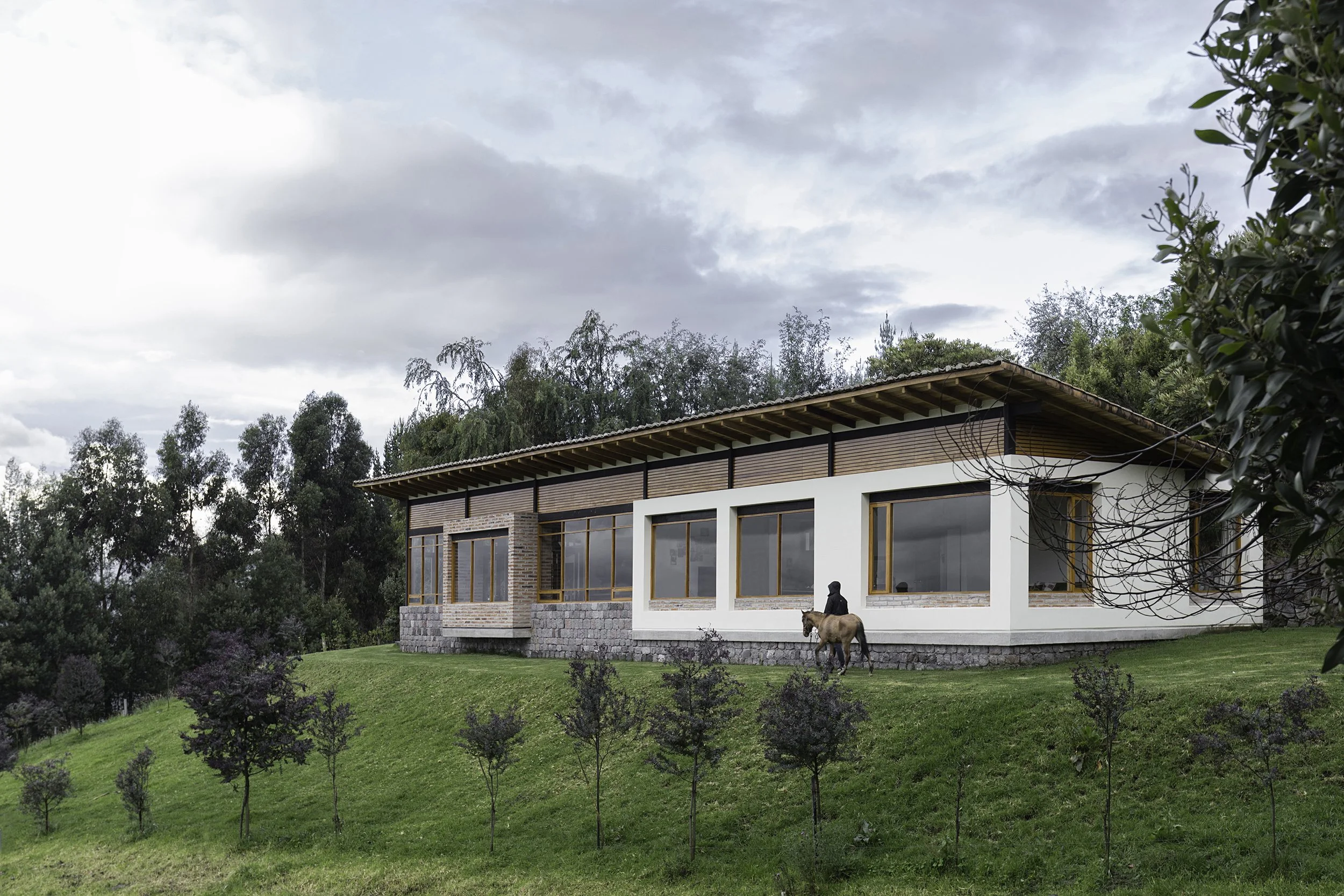 Casa moderna de dos pisos con paredes de ladrillo y grandes ventanas de madera, situada en un área de césped verde con árboles y arbustos. En el primer plano, hay un perro y una persona cerca de la casa.