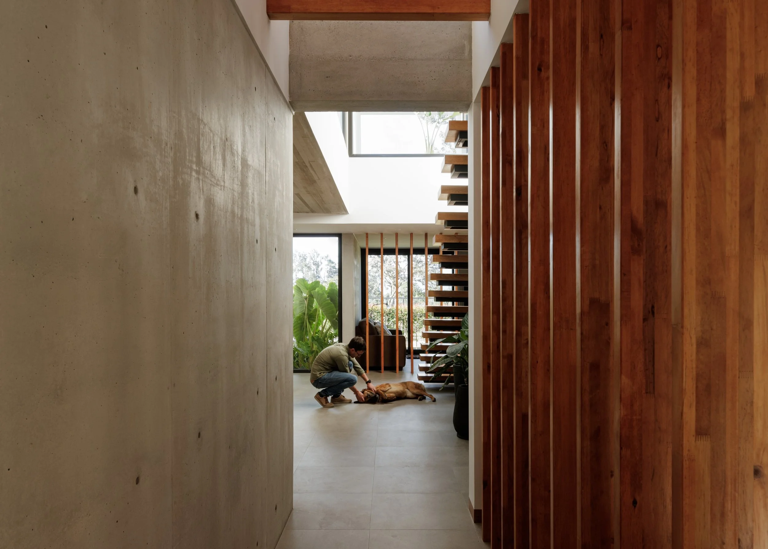 Interior de una casa moderna con paredes blancas y piso de concreto. Una persona está agachada al lado de un perro en el suelo, en una sala que tiene ventanas grandes y plantas decorativas.