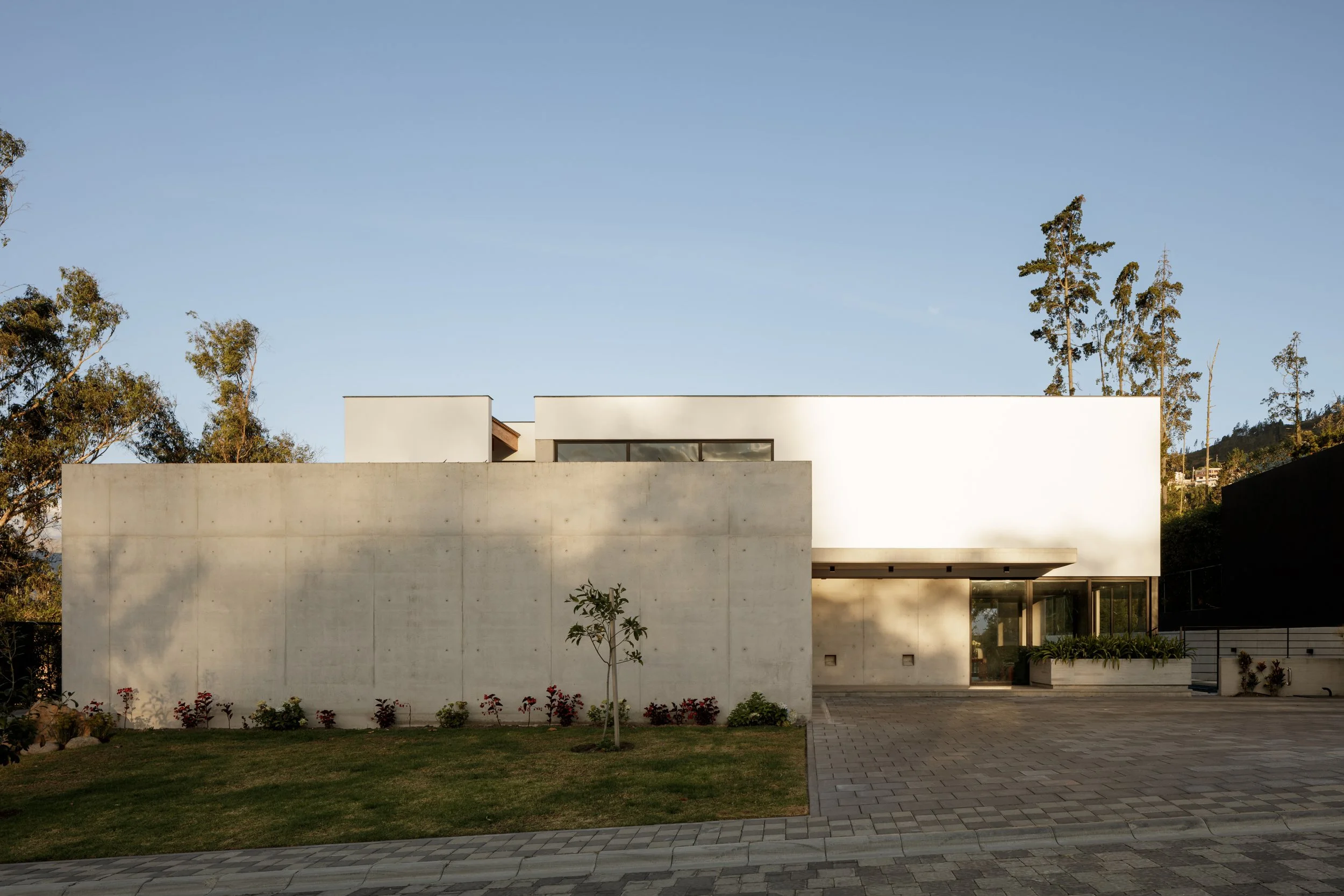 Fachada moderna de un edificio blanco con ventanas de vidrio, árboles altos y cielo despejado en el fondo.