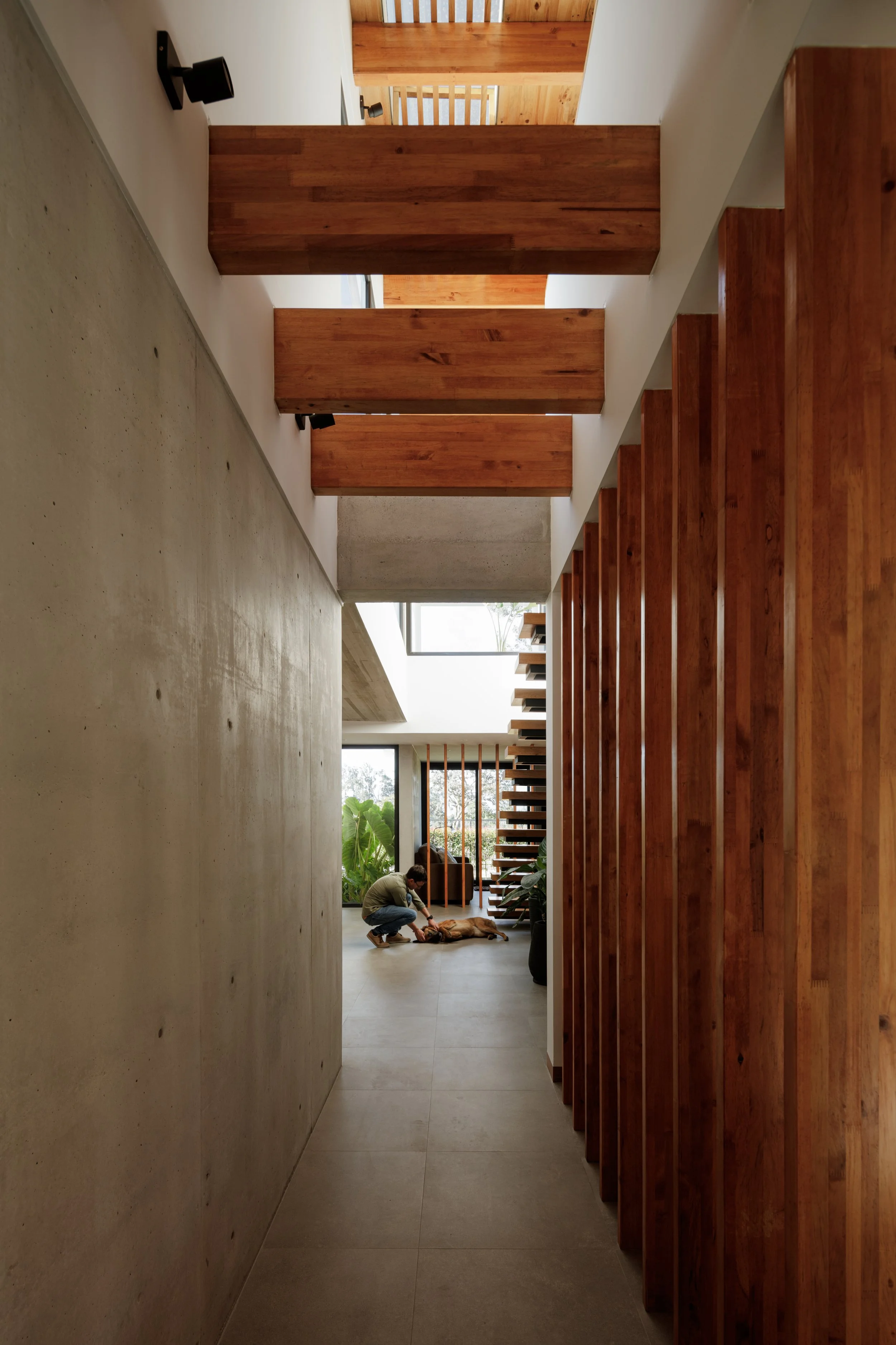 Un pasillo interior con paredes de cemento y madera, y una persona jugando con un perro. Mucha luz natural entra por grandes ventanas al fondo.