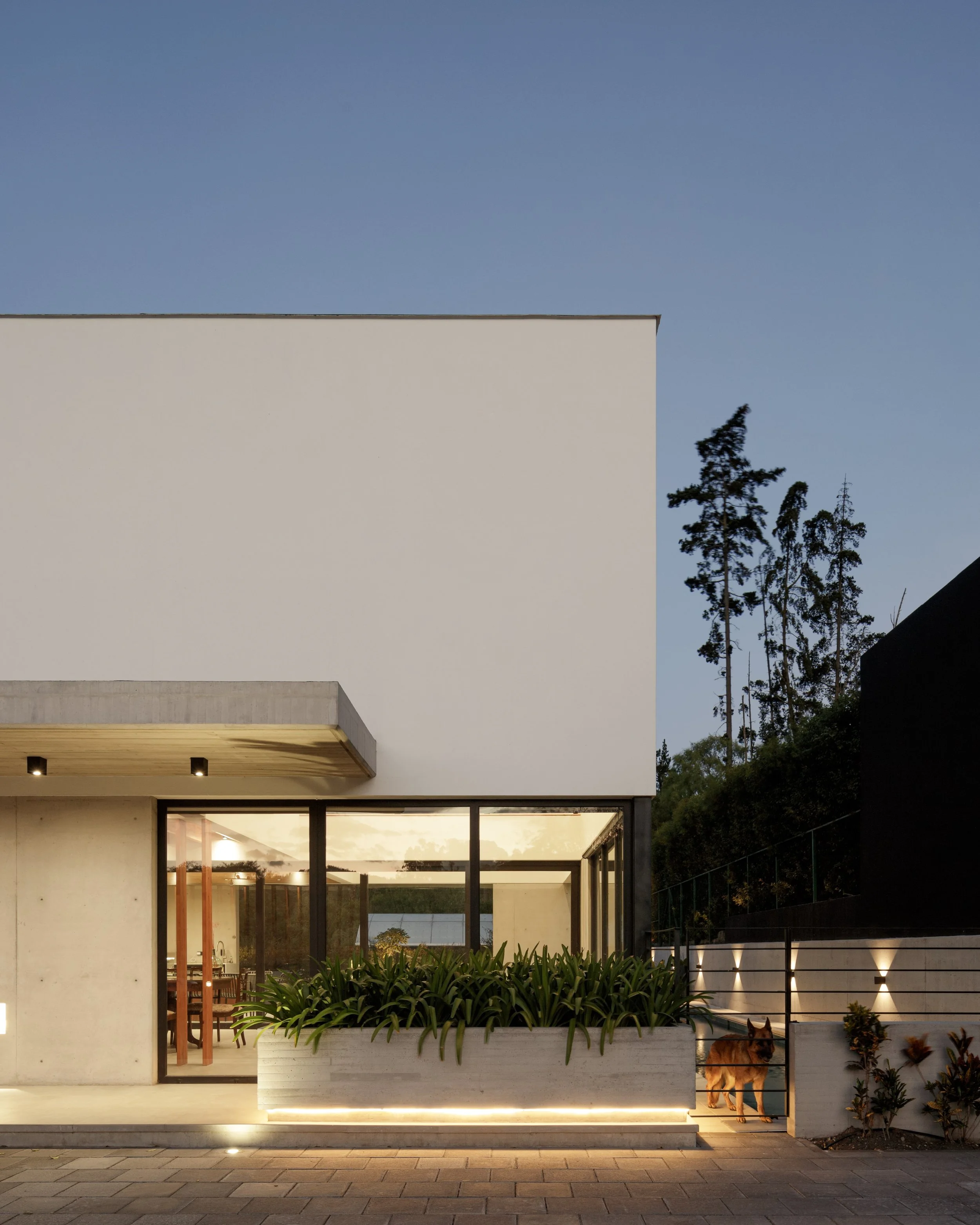 fachada moderna de casa con pared blanca, ventana grande de cristal y área de jardín con plantas verdes en la parte inferior, perro pastor alemán en la zona lateral, árboles altos al fondo y cielo despejado