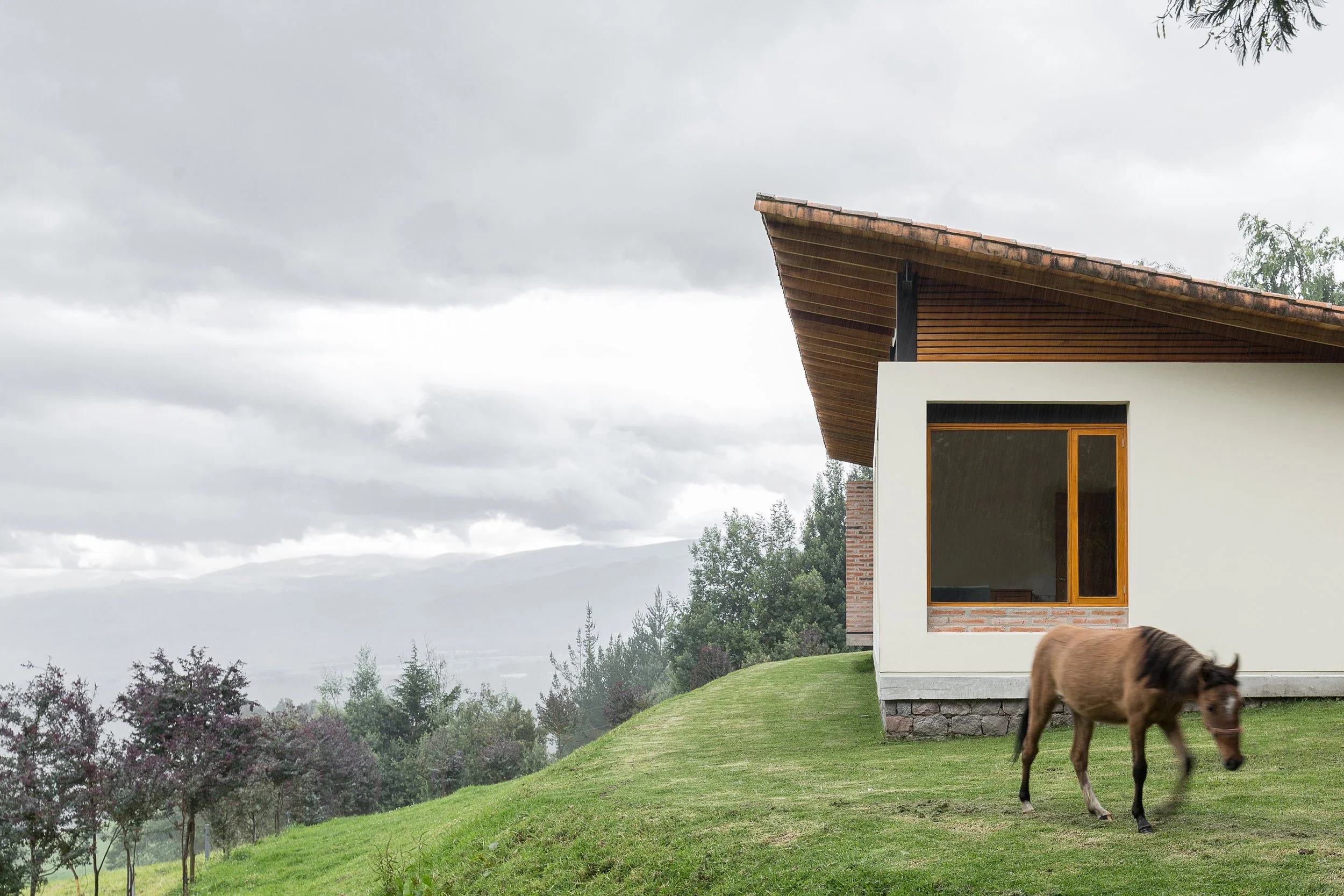 Casa moderna con techo de tejas, ventanas grandes, en un paisaje verde con árboles y un caballo pastando.