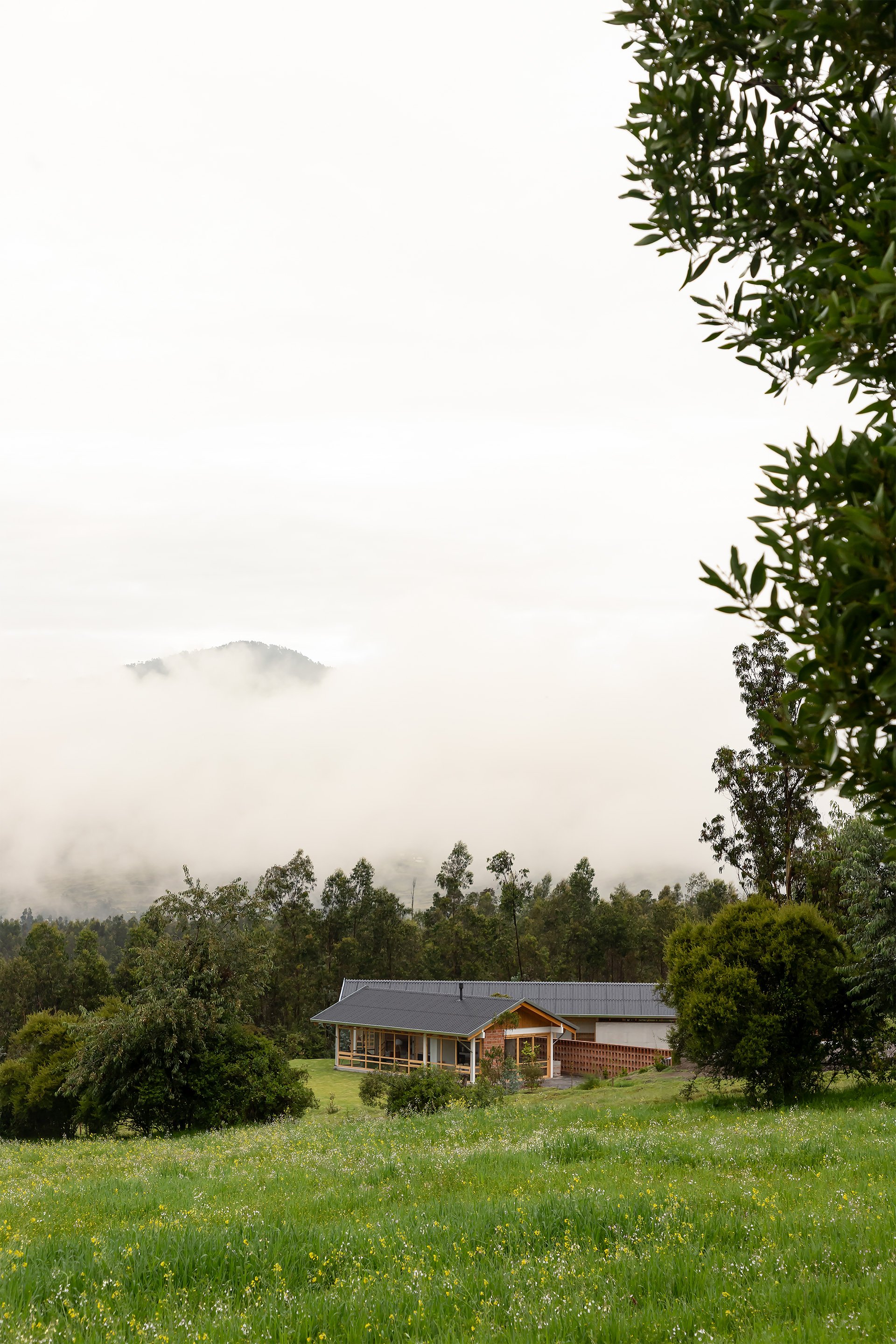 Casa moderna en un campo verde con árboles y colinas en la neblina y el cielo nublado.