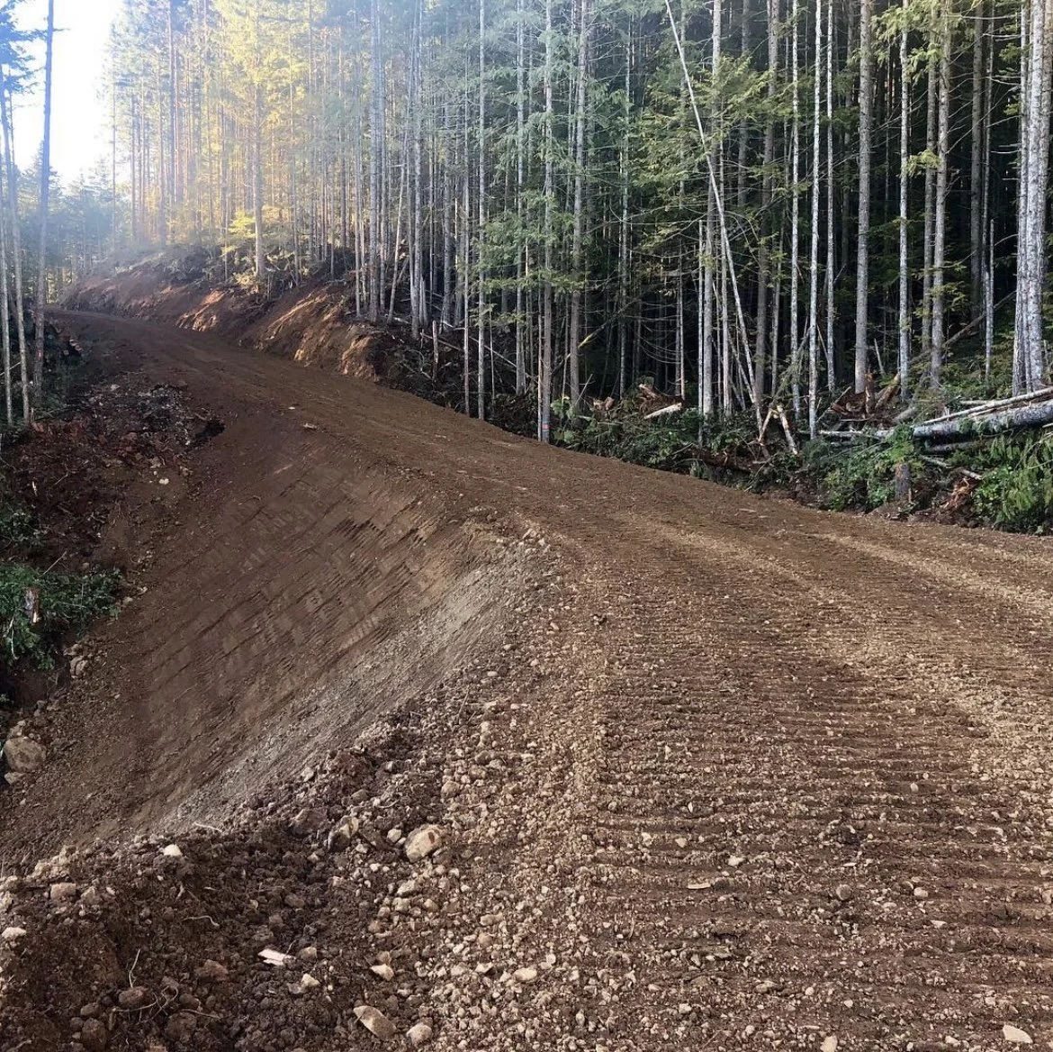 Timberland road construction in progress