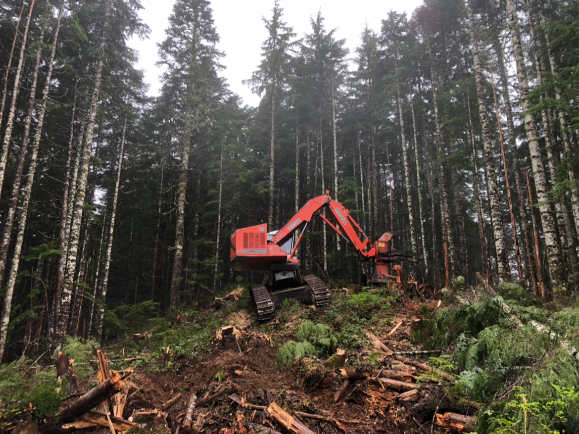 Feller Buncher