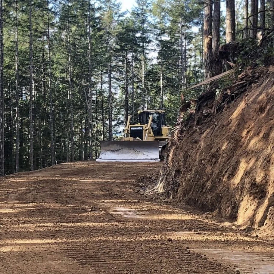 A bulldozer building a road for future logging.