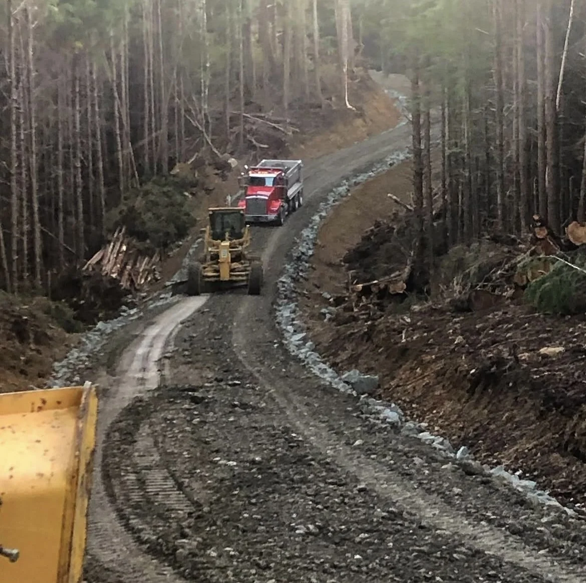 Timberland road construction