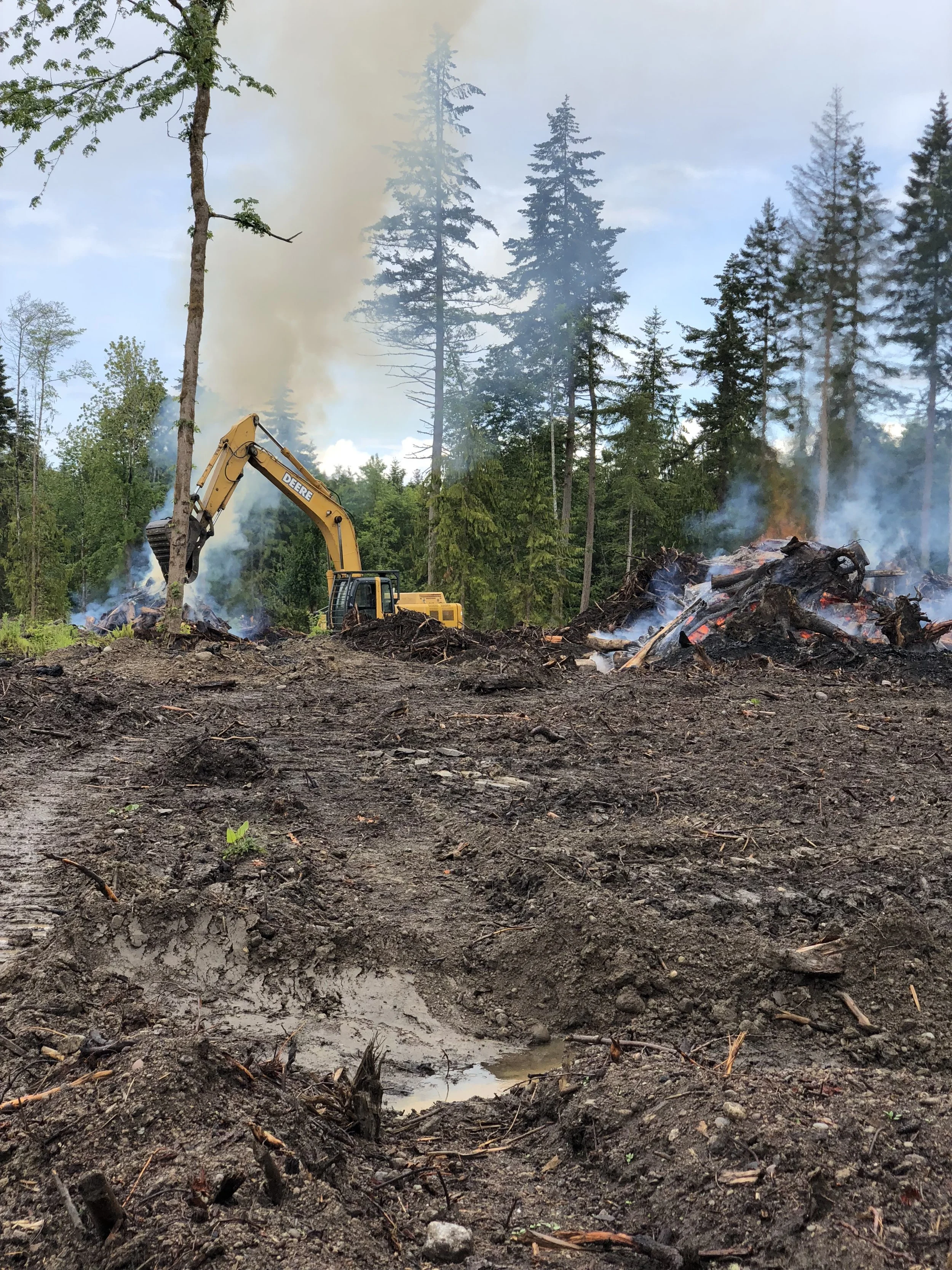 Burn piles on private land clearing project