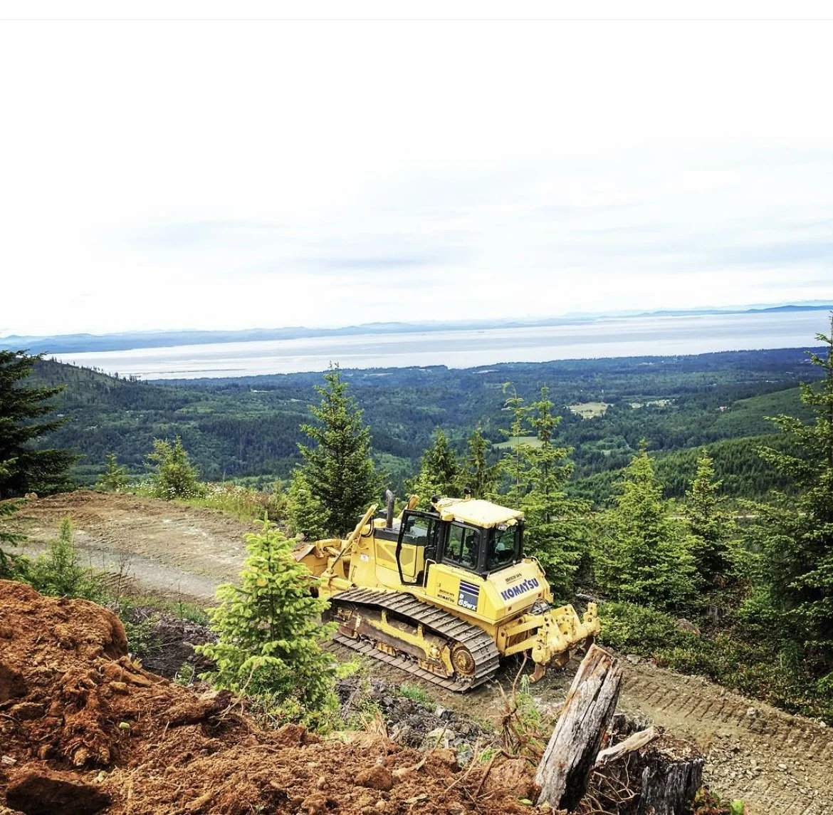 A D65 bulldozer.