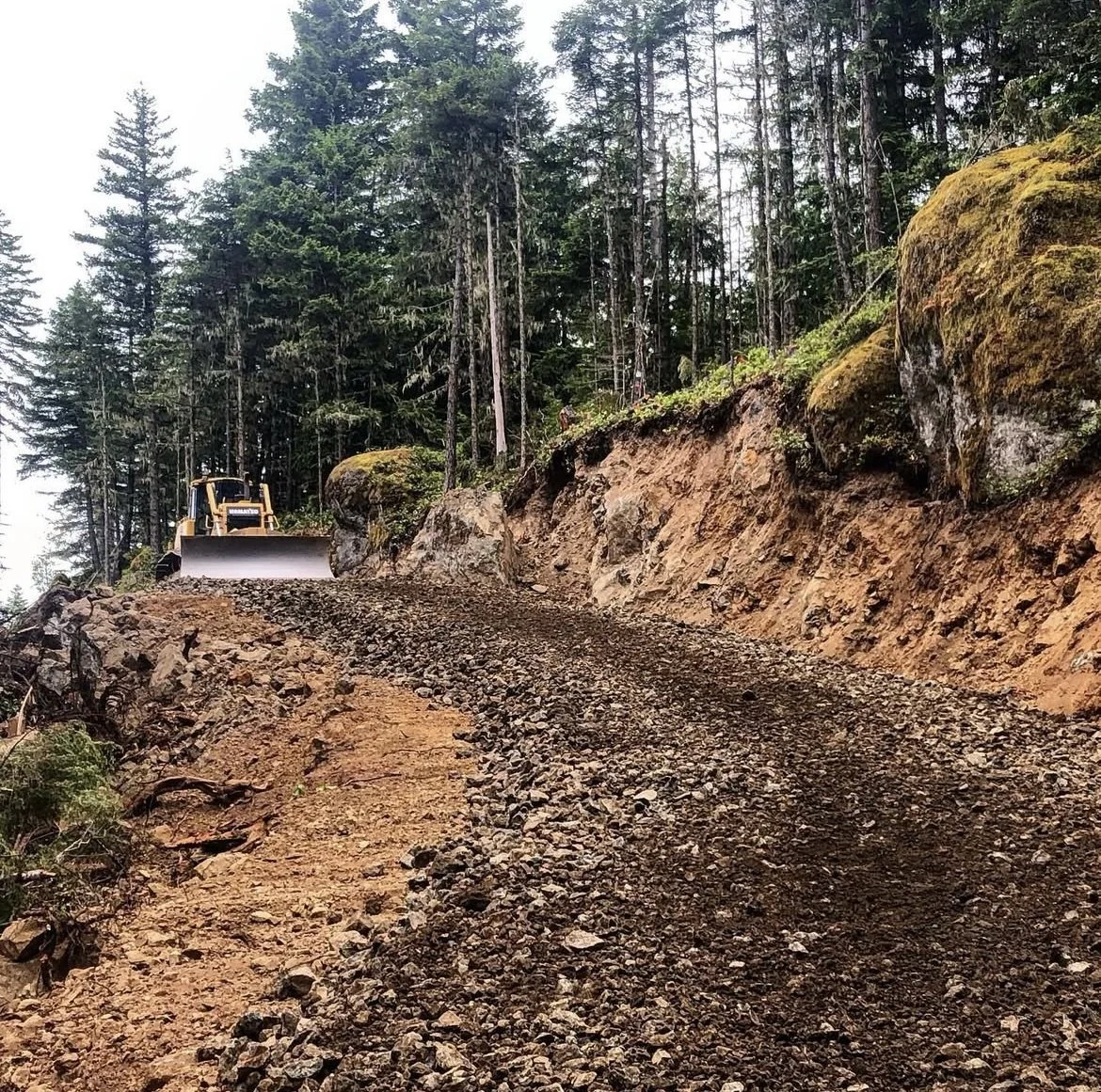 Timberland road construction 