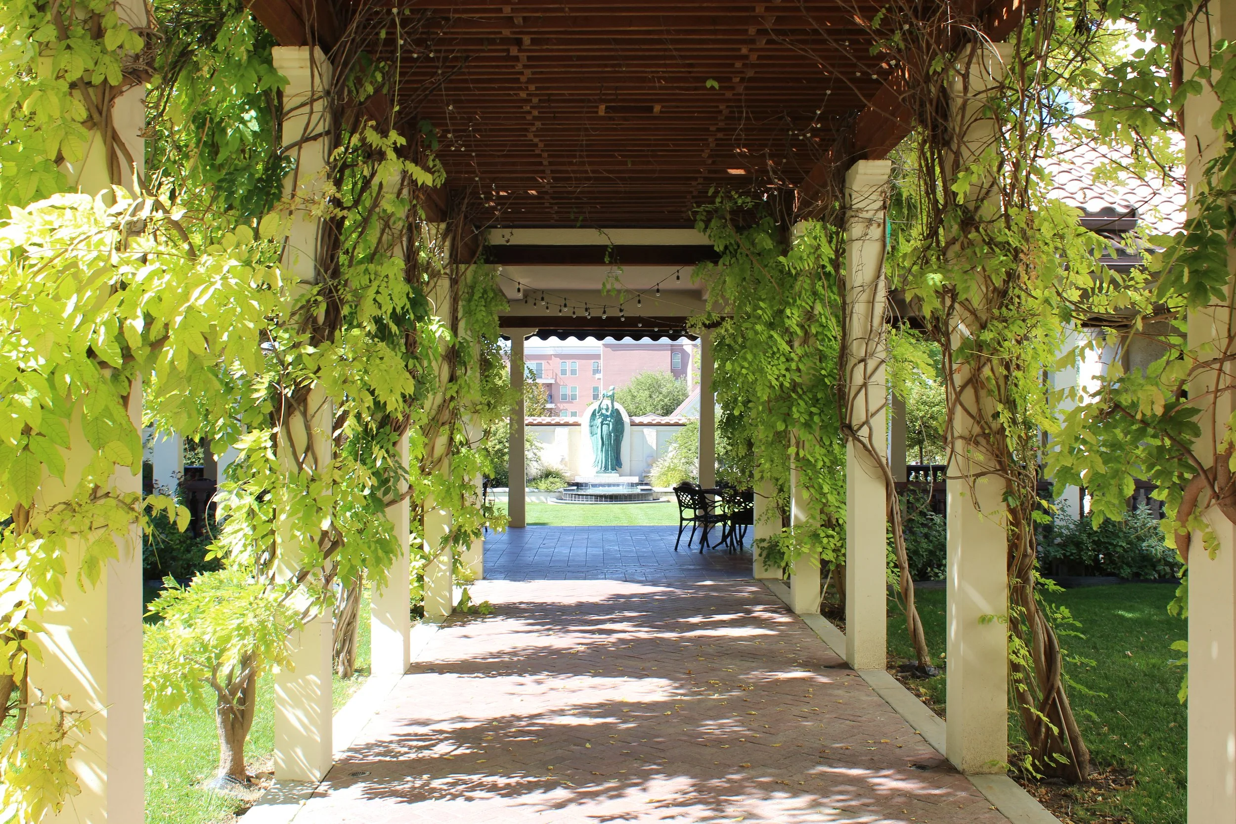 A shaded outdoor pergola with green vine plants hanging down and a fountain in the background.