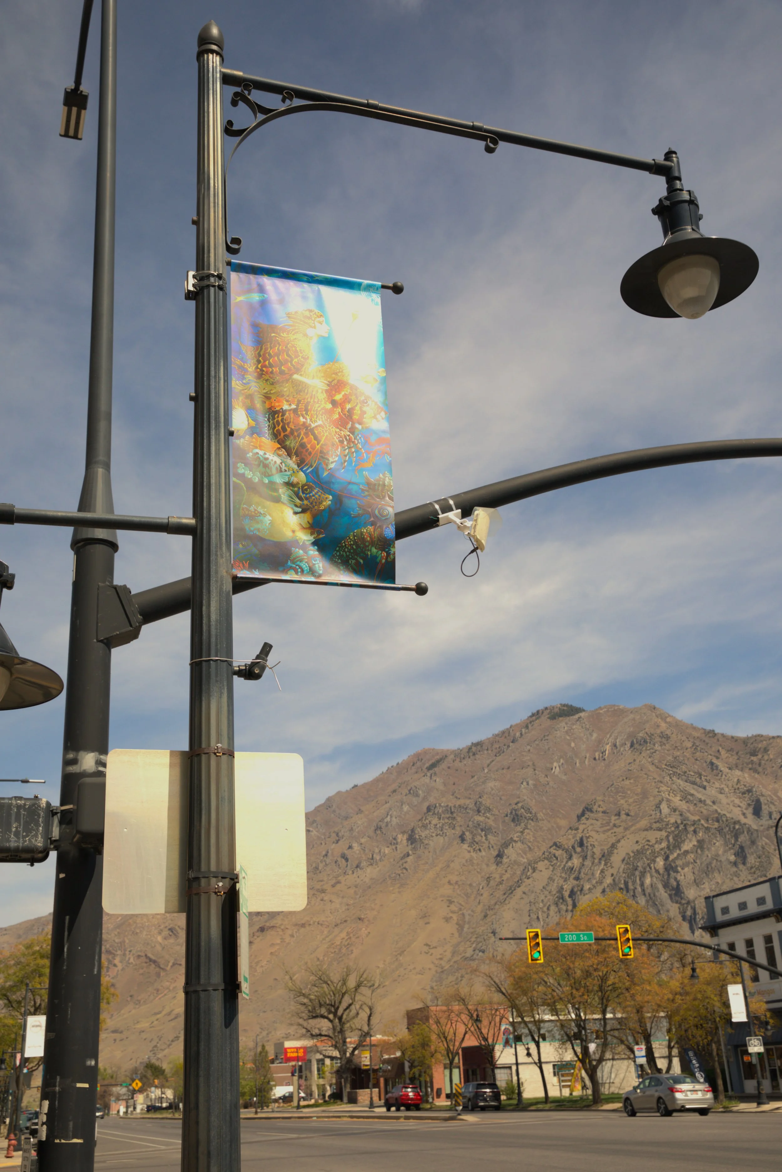 Street scene with a streetlight, a colorful banner, traffic signal, and mountains in the background. There are buildings and cars at the street level.