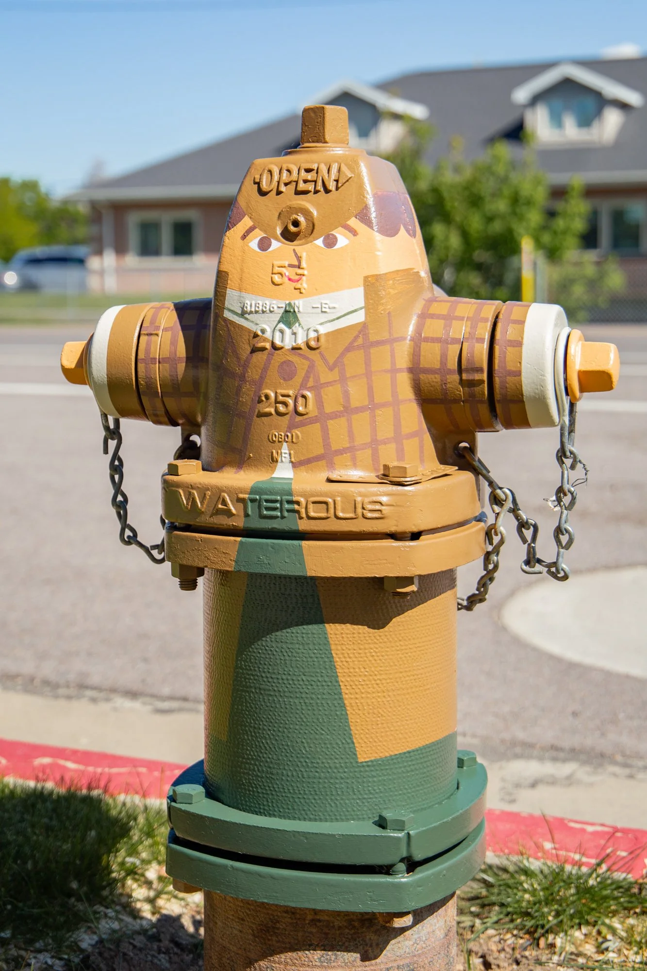 A fire hydrant painted with a cartoon character's face and clothing, with the word 'Waterous' on it.