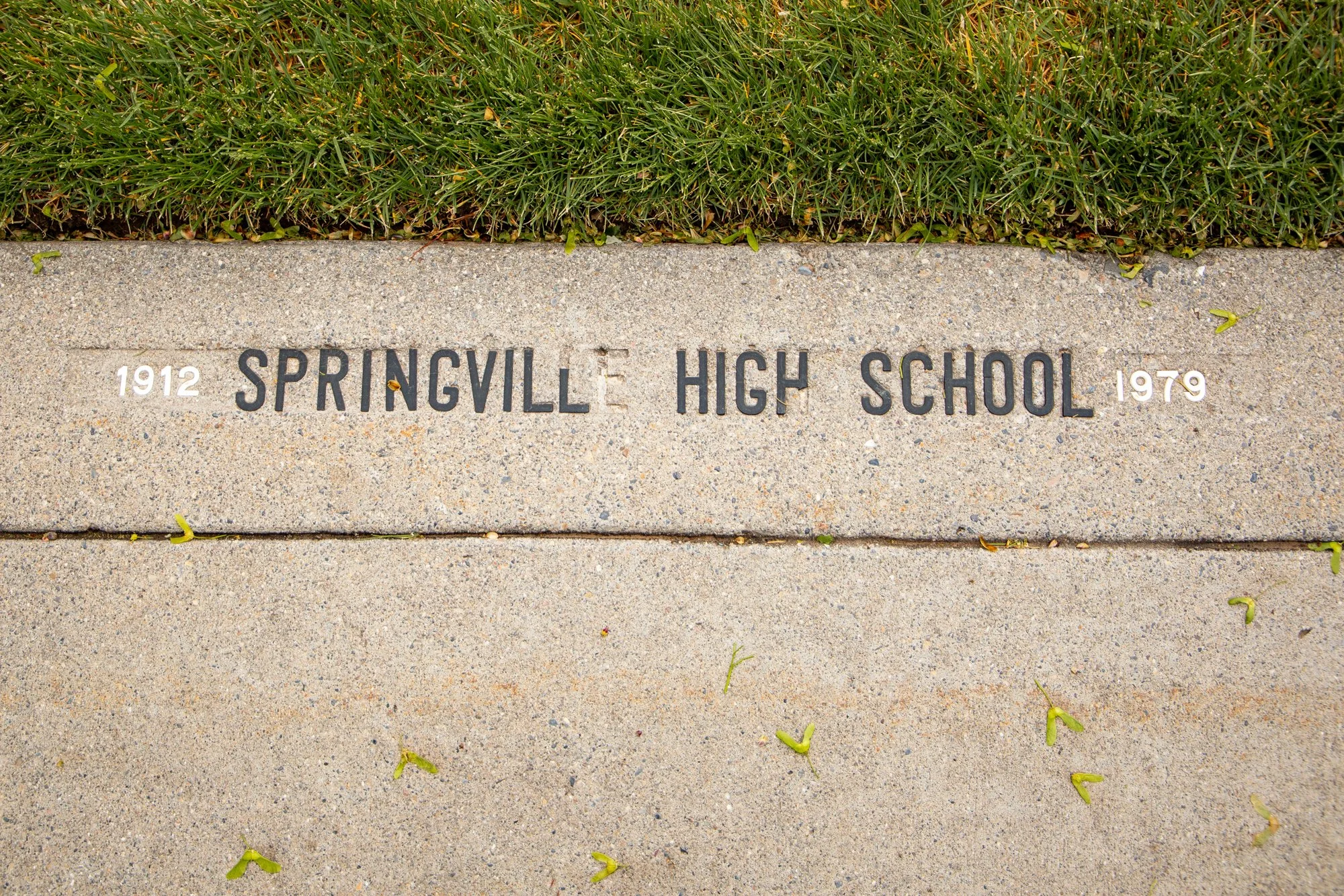 Close-up of a concrete sidewalk with the text 'Springville High School 1912 1979' embedded in it, surrounded by grass and small green leaves scattered on the ground.