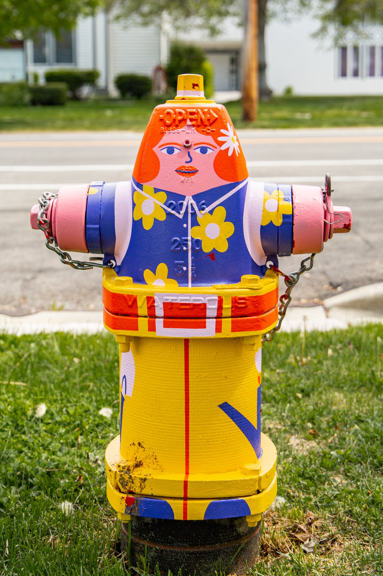 Colorful fire hydrant painted with a woman's face, red hair, and a white daisy, set on grass in front of a suburban street scene.