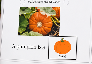 pumpkin_task_1_plant.png