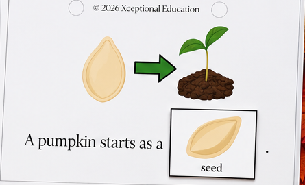 pumpkin_task_2_seed.png