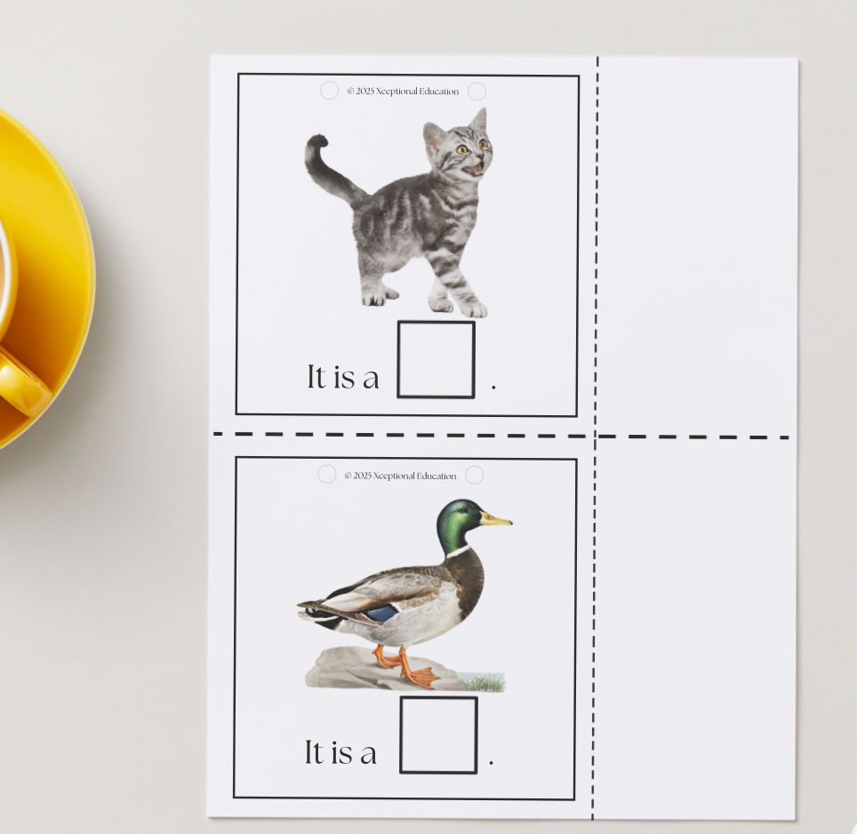 Screenshot 2026-03-31 at 8.39.20 AM.png