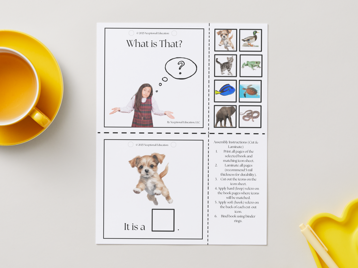 FREE | What Is That? | AAC Interactive Adapted Book