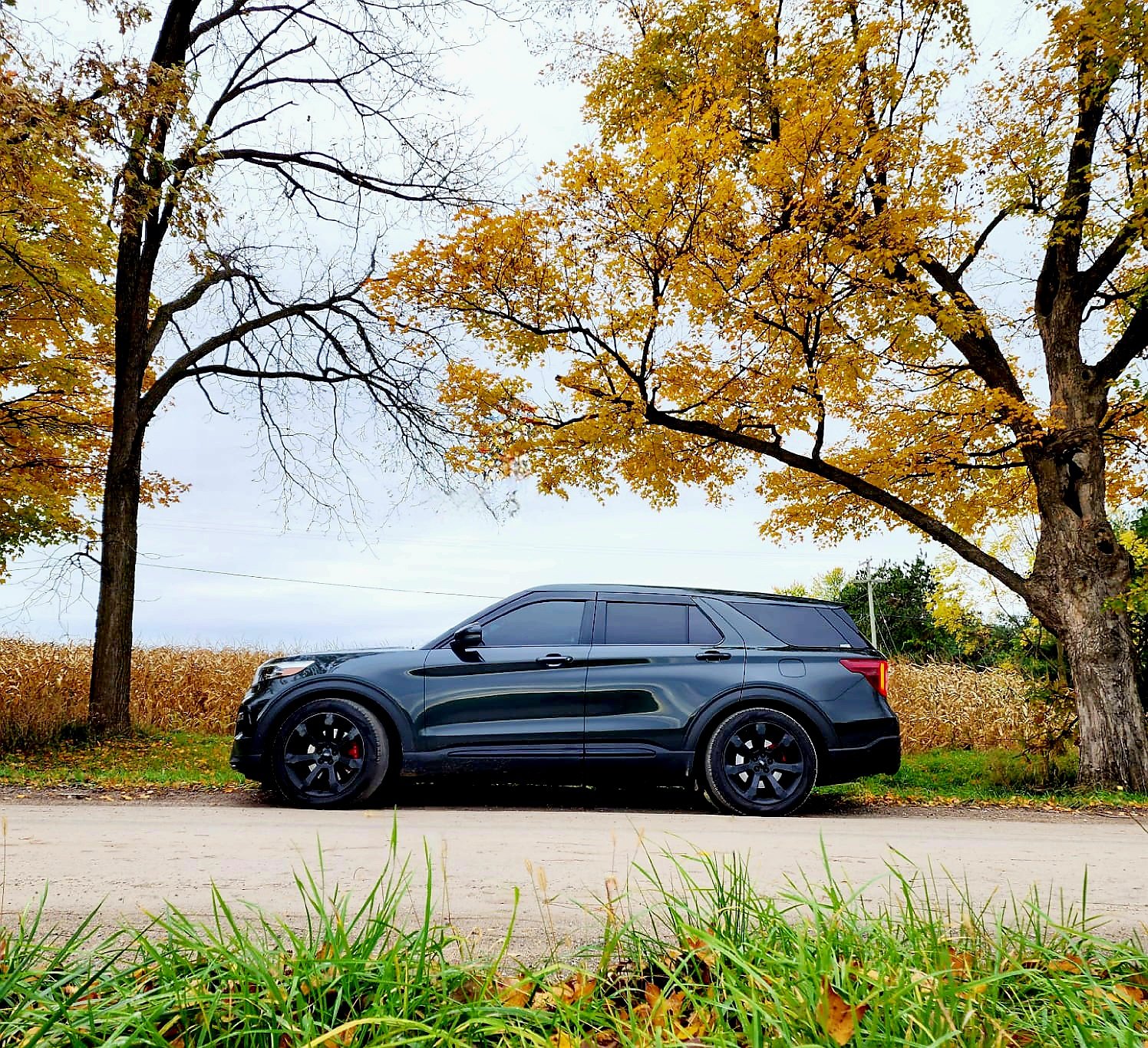 H&R Lowering Springs w/installation and alignment